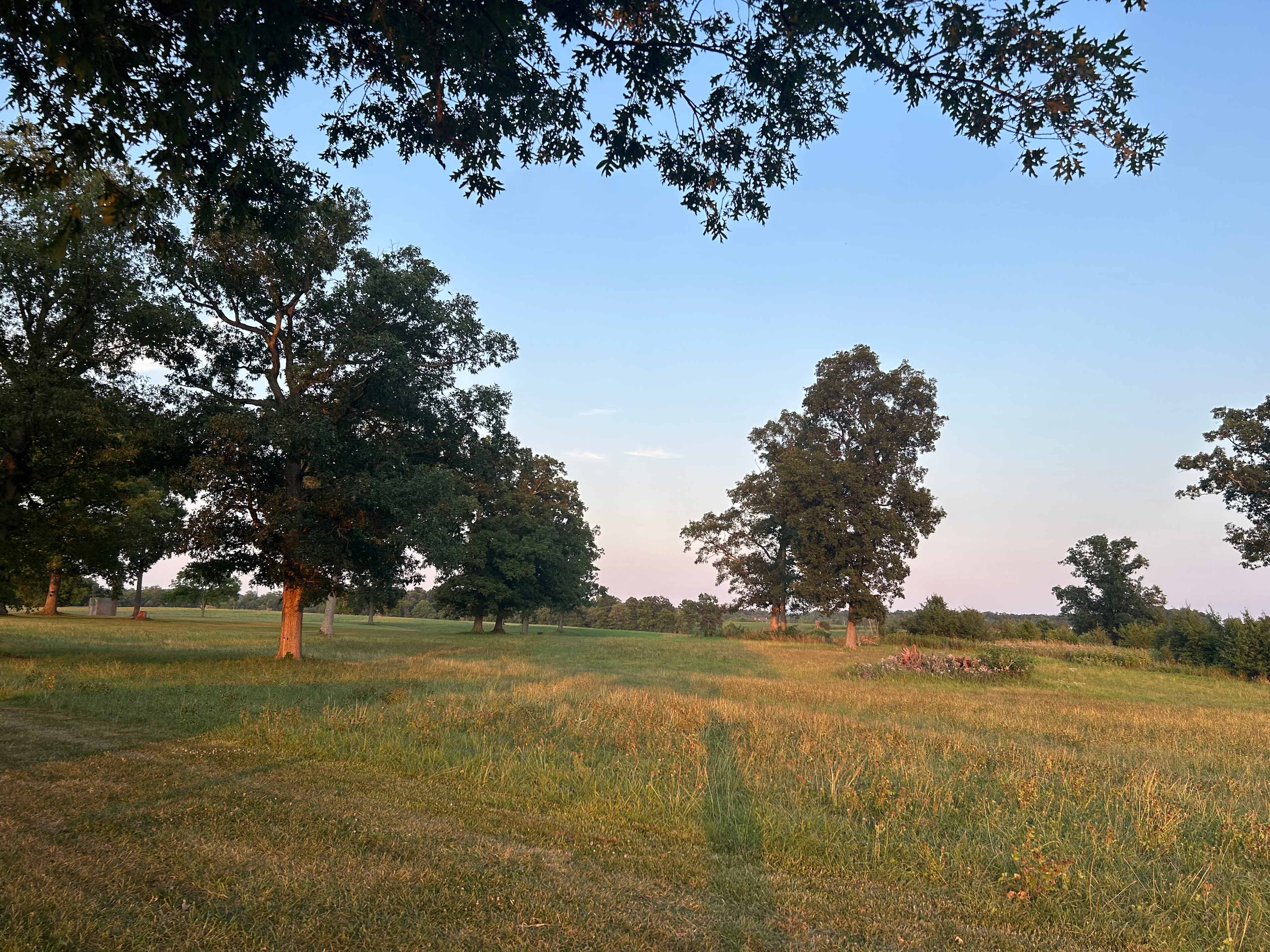 Picture of the site