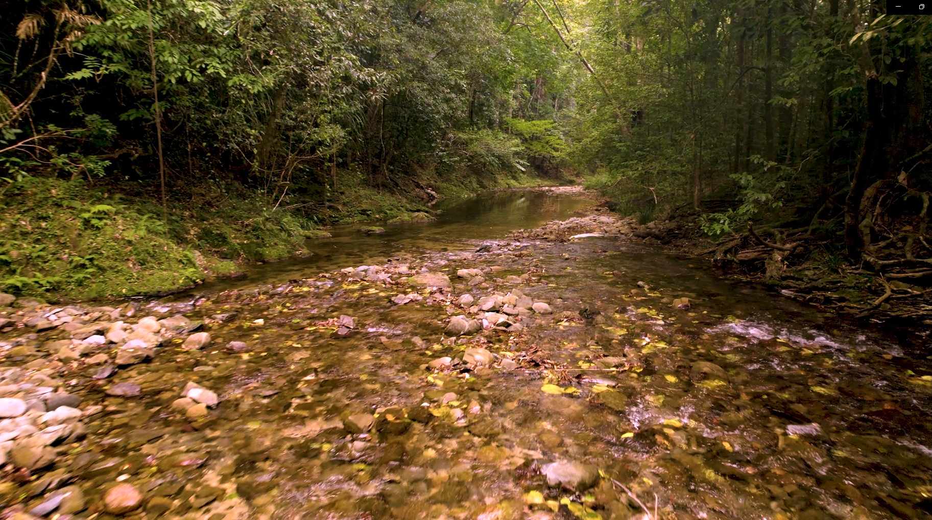 Beauty Spot Valley Organic Farmstay