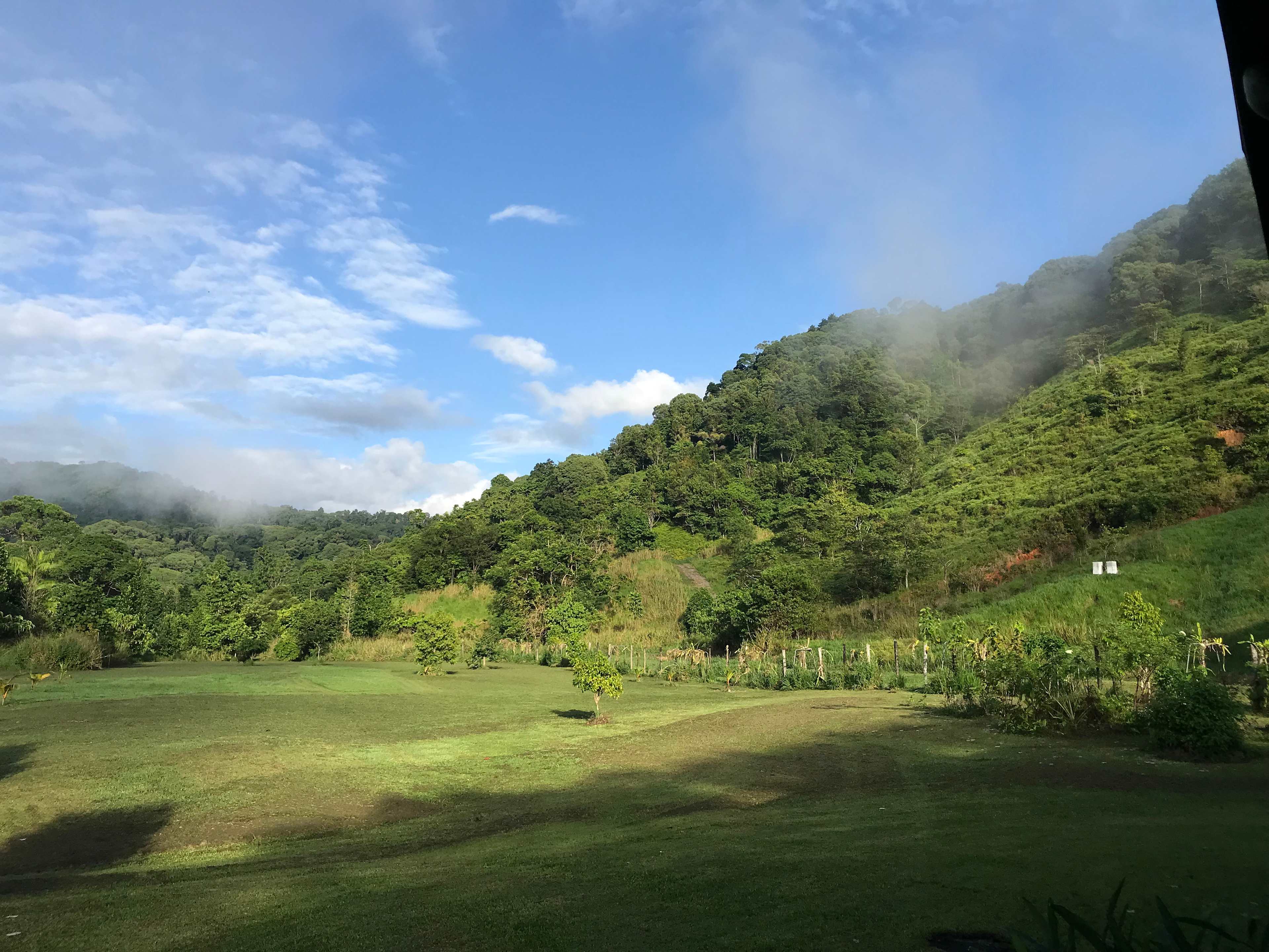 Beauty Spot Valley Organic Farmstay