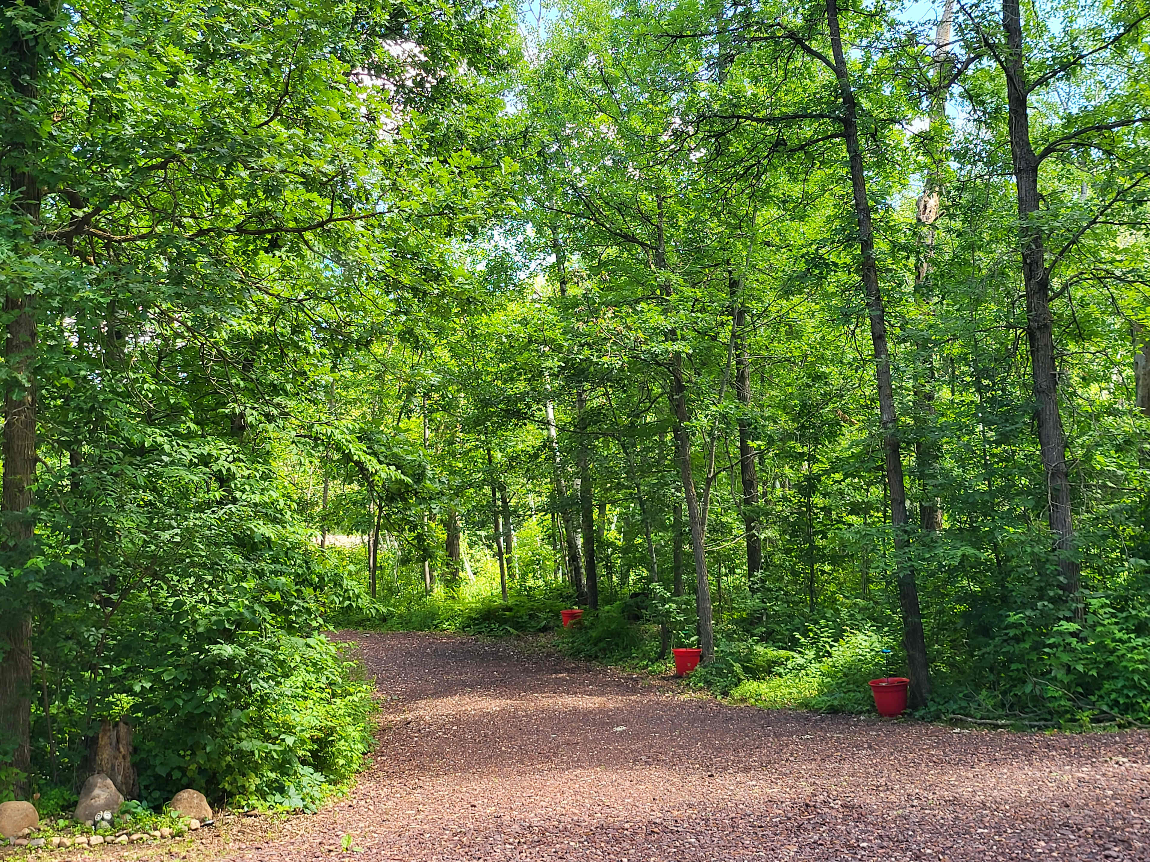Driveway to the site