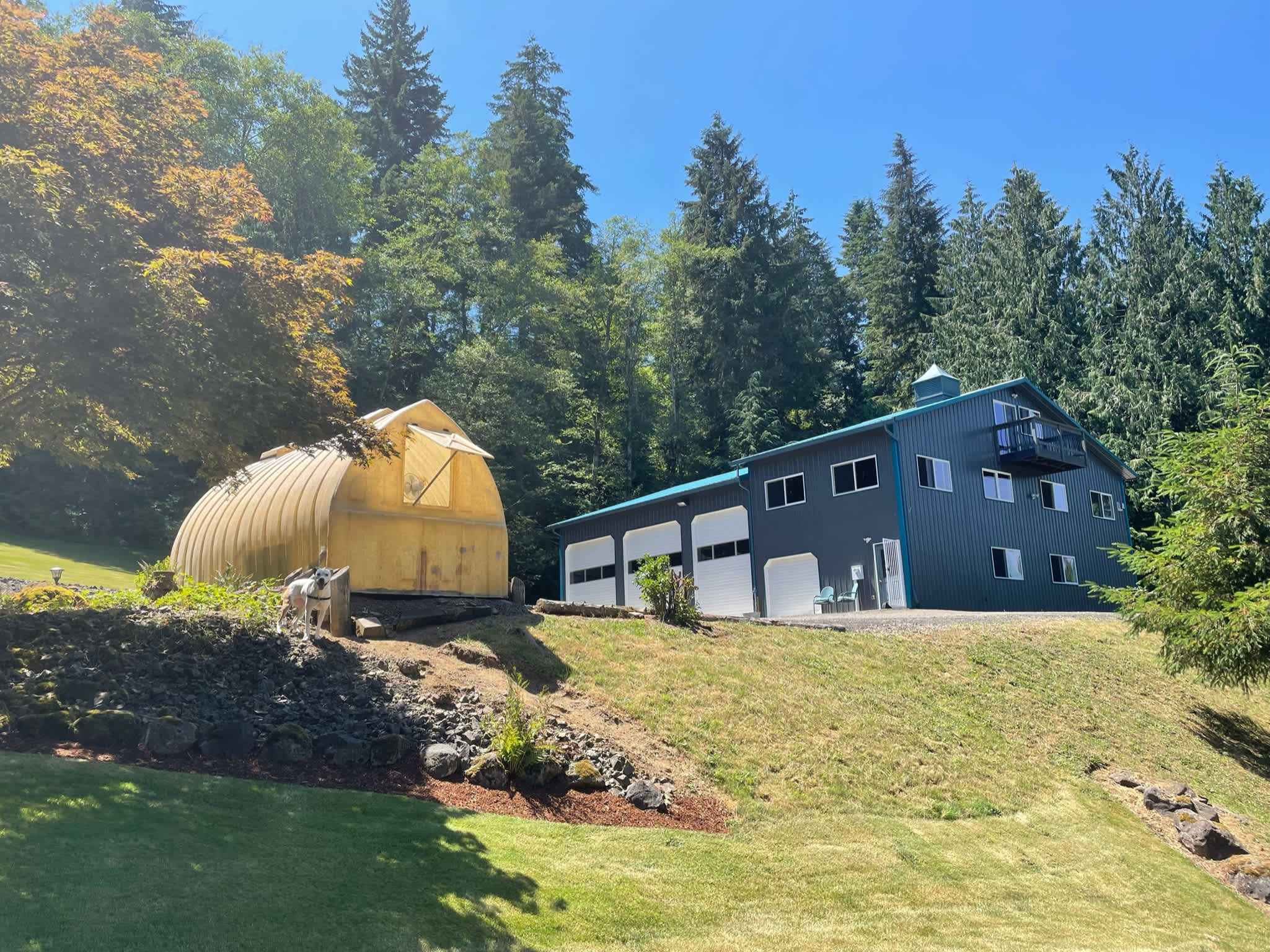 Picture of the site