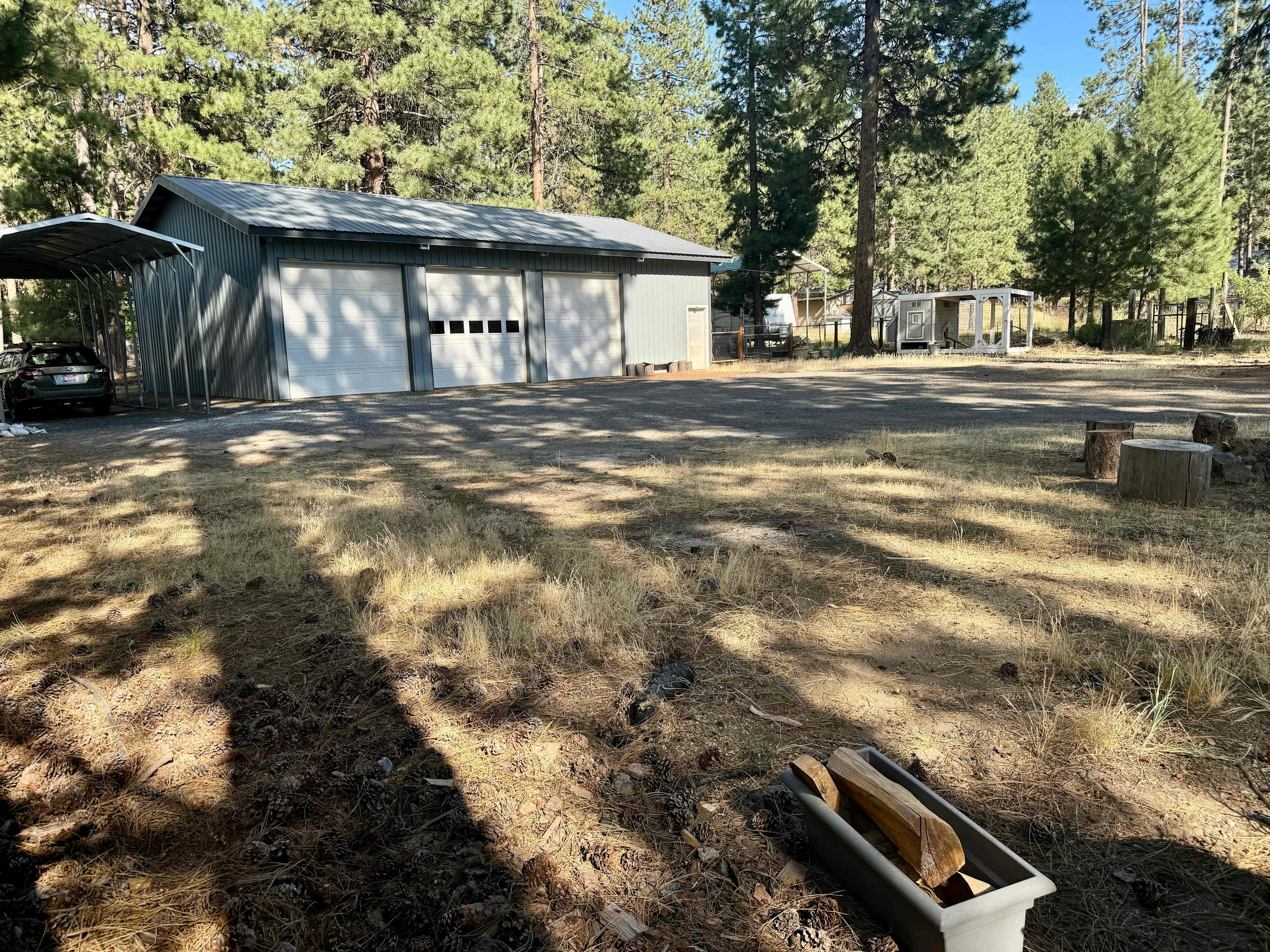 Ponderosa Pine Sanctuary