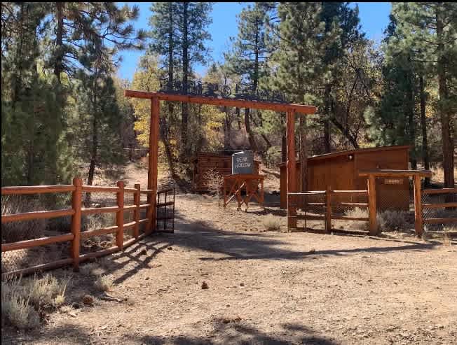 Bear Hollow Camp Site