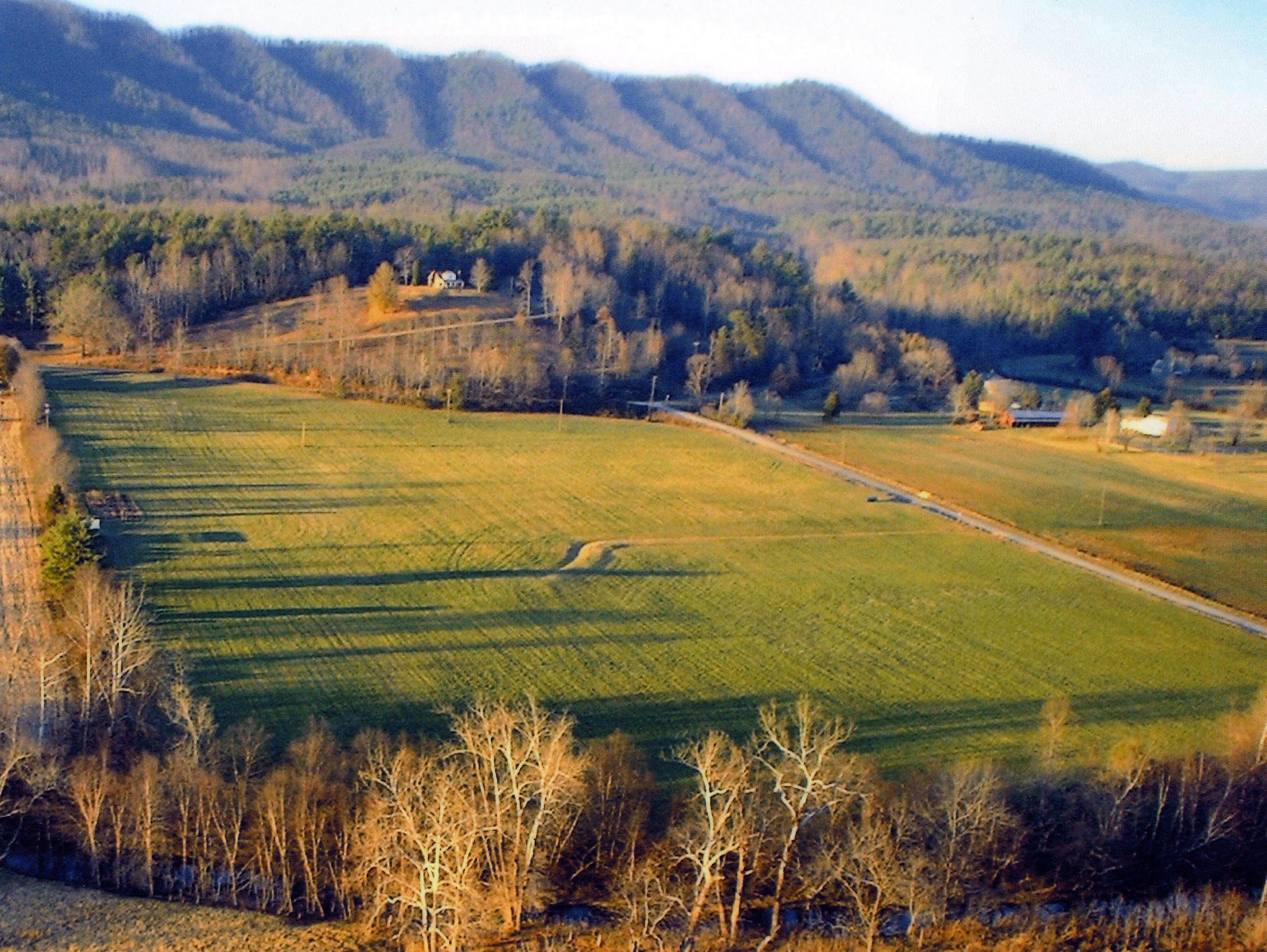 Yadkin Mountain Farm