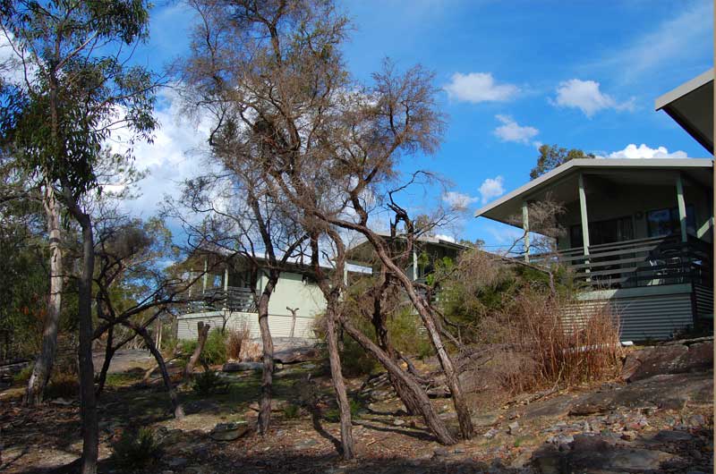 Picture of the site