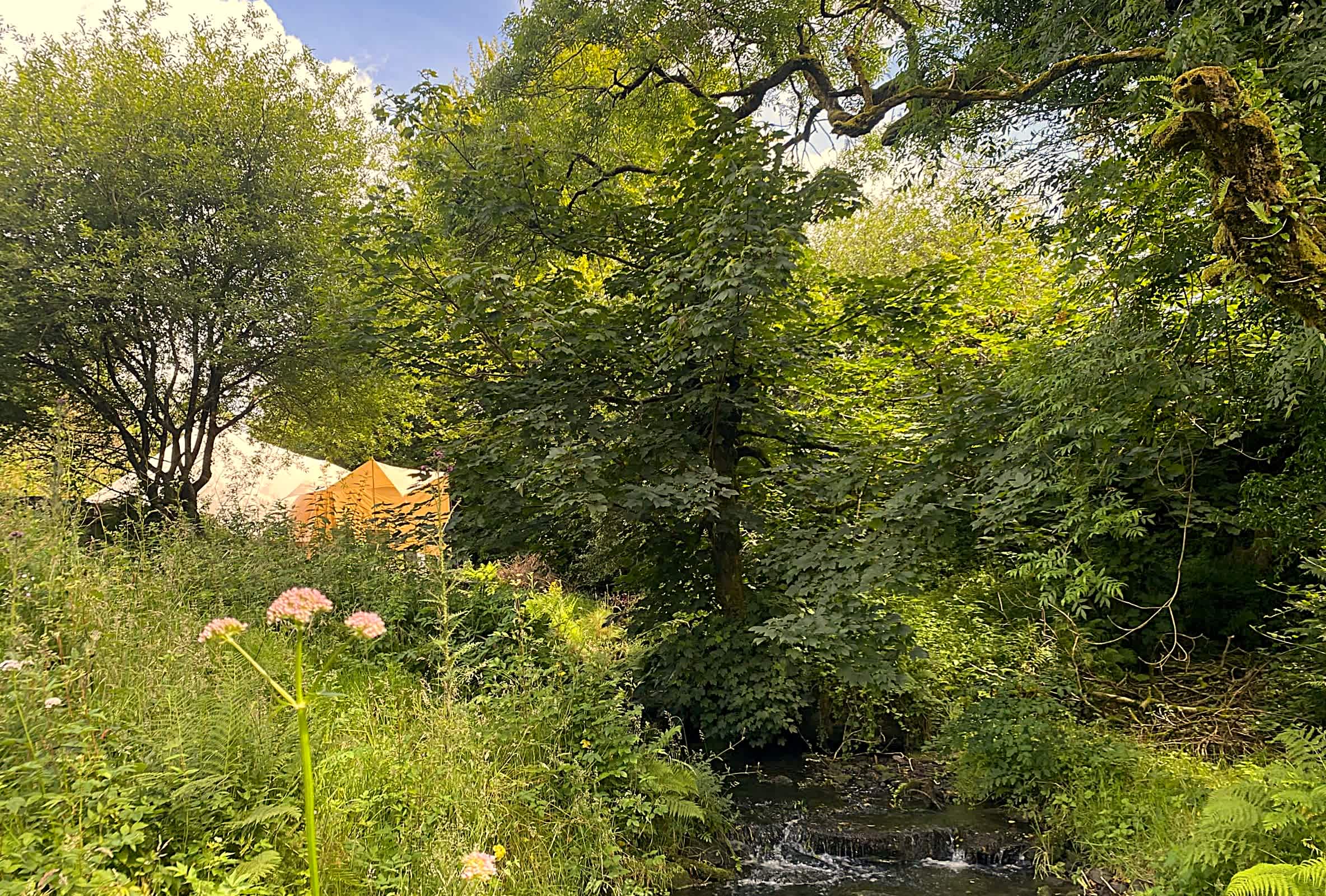 Ekopod Glamping Site Cornwall
