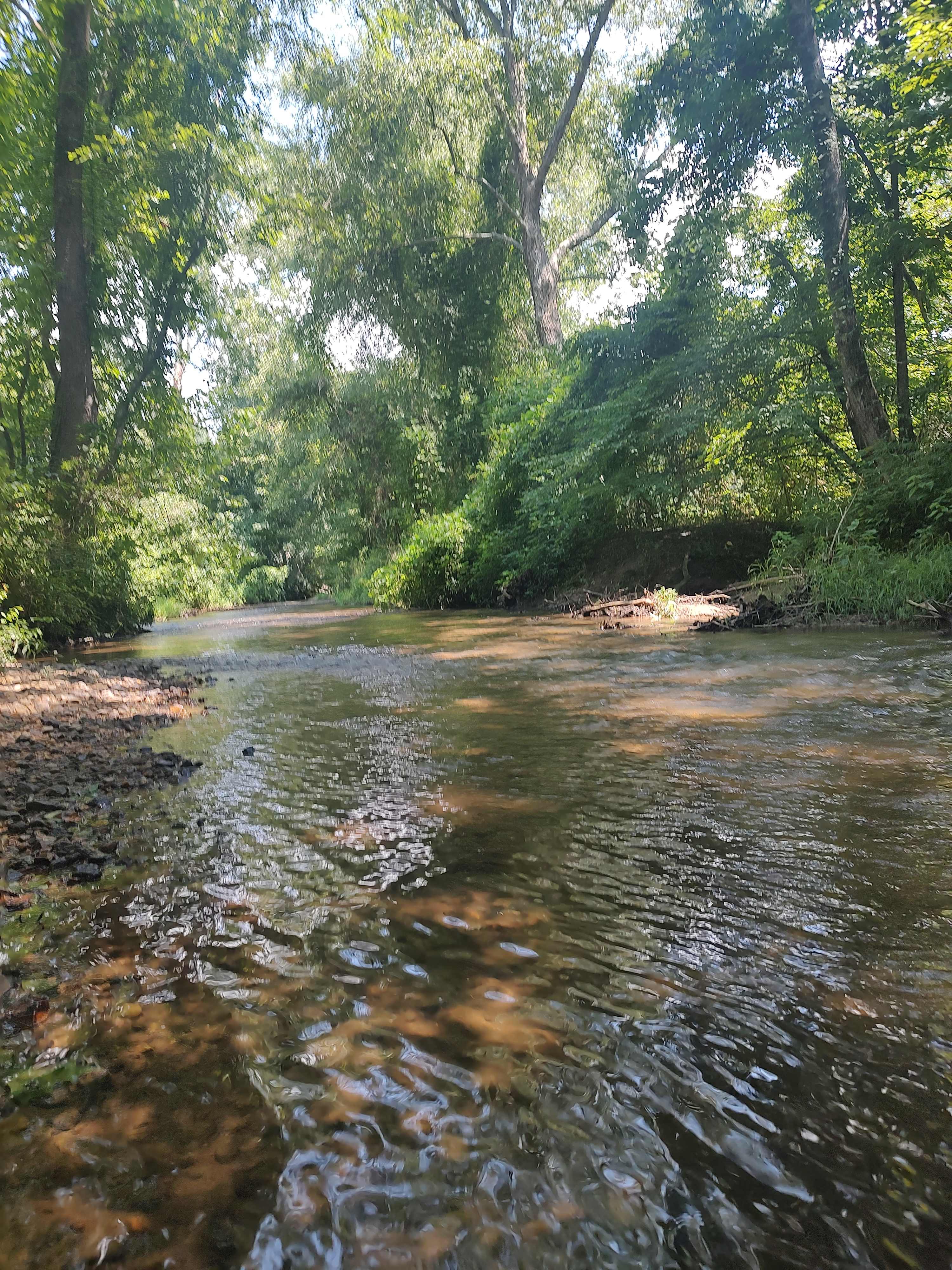 Broken Oak Riverside Getaway
