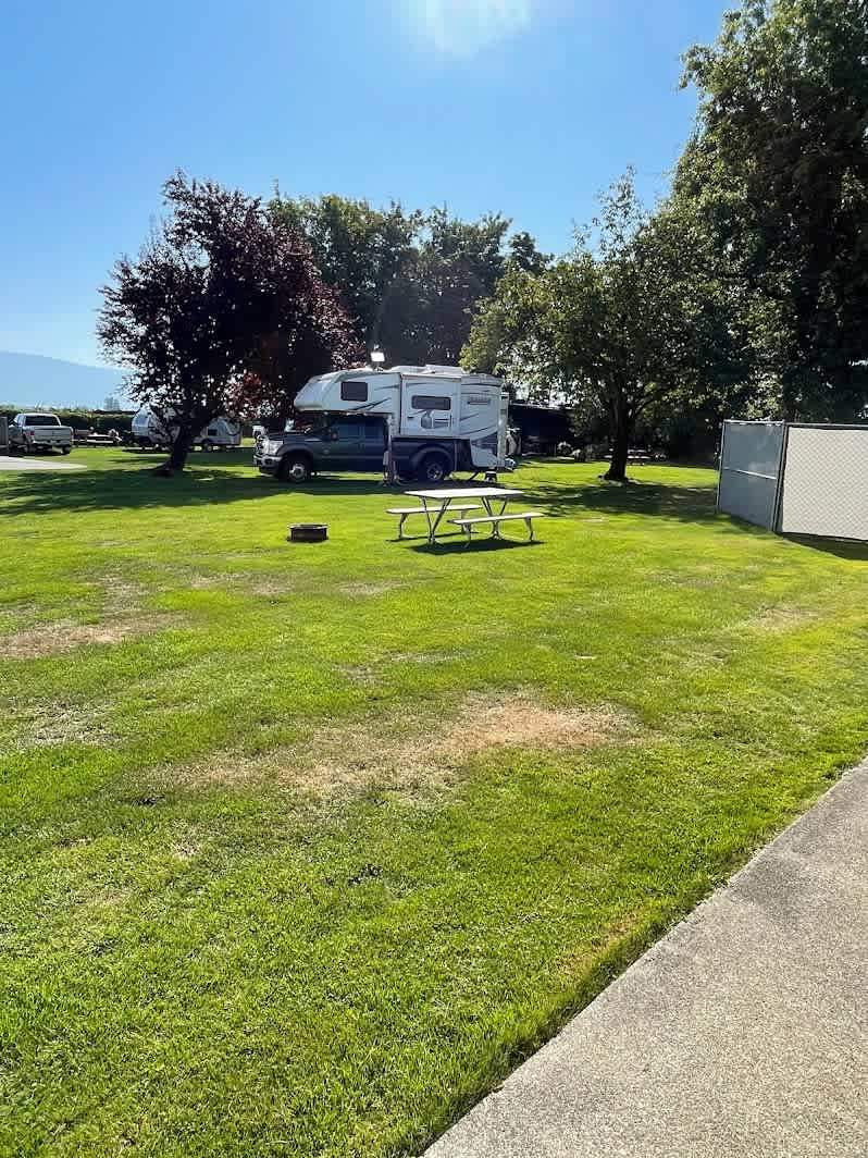 Picture of the site
