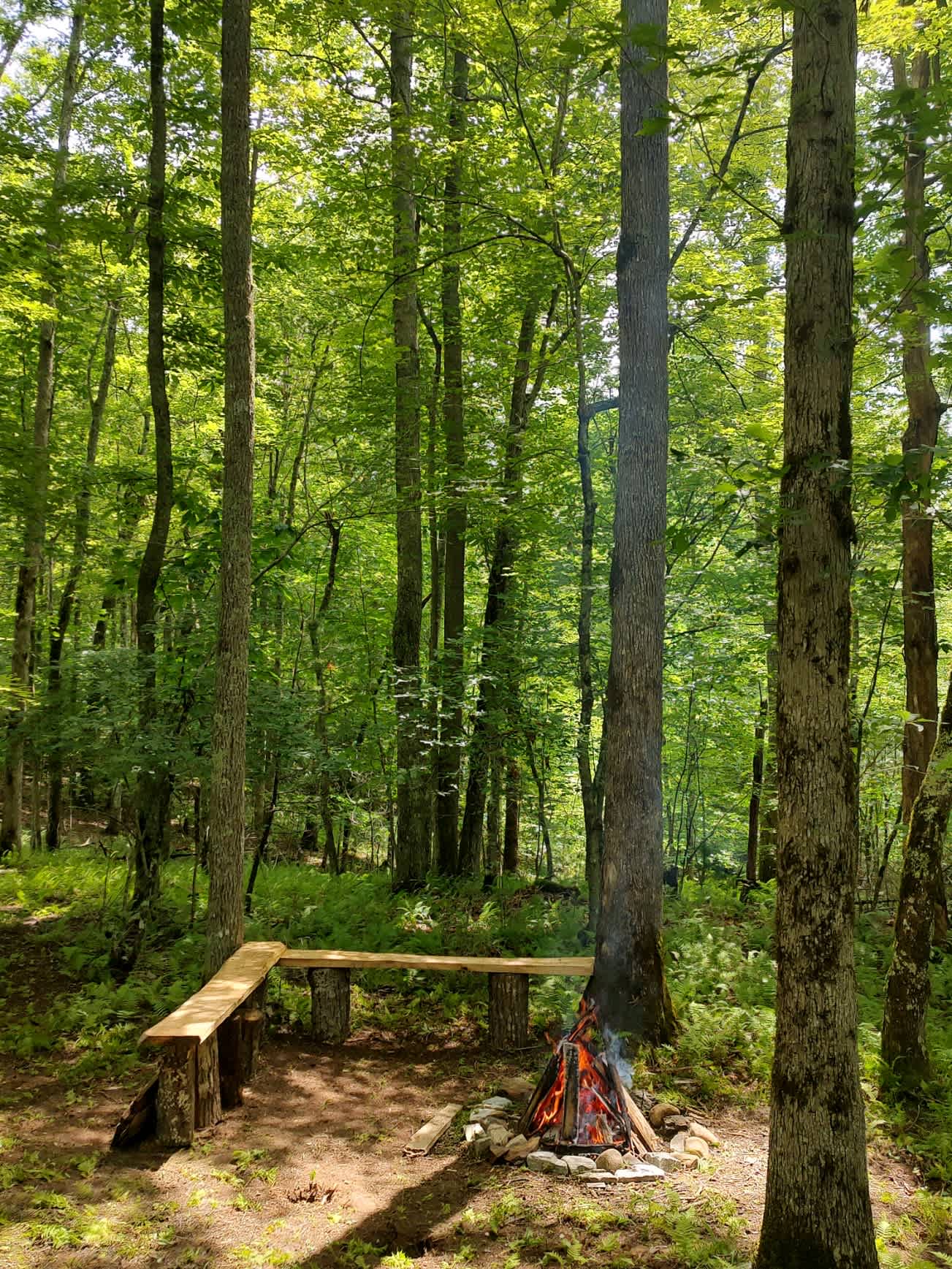 Picture of the site