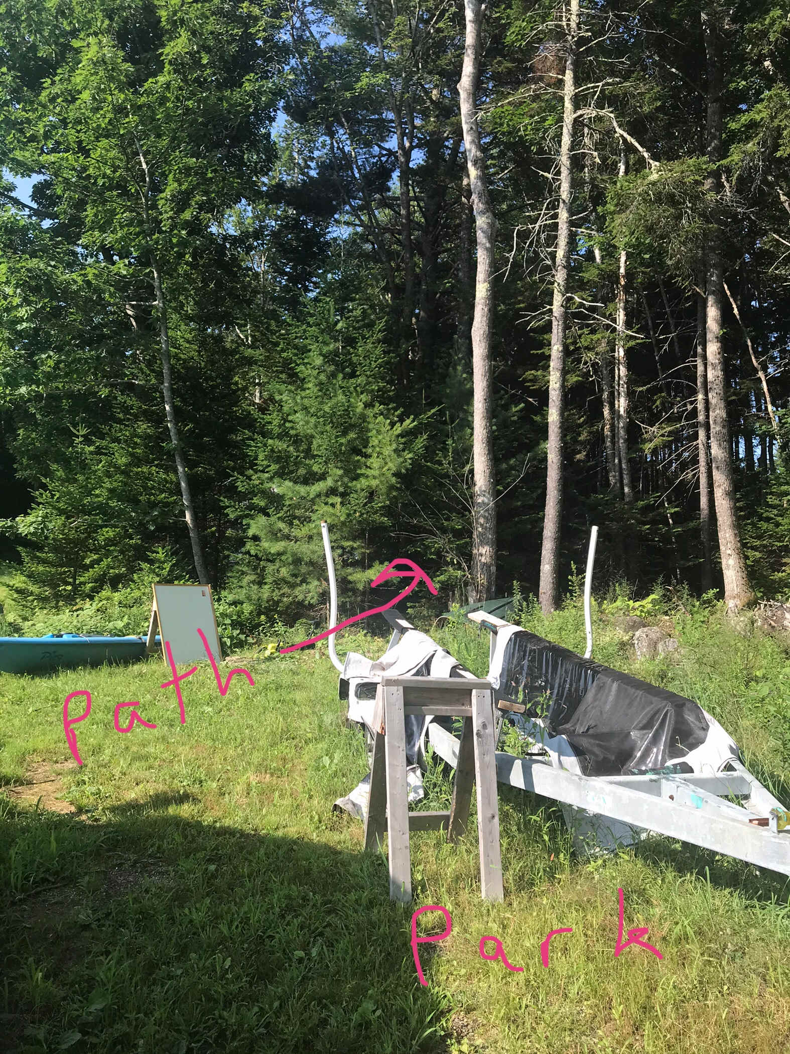 Picture of the site