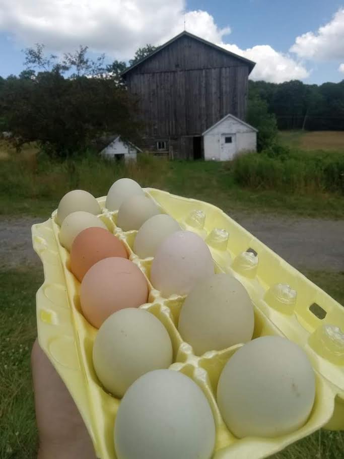 Fernwood Farmstead & Disc-Golf