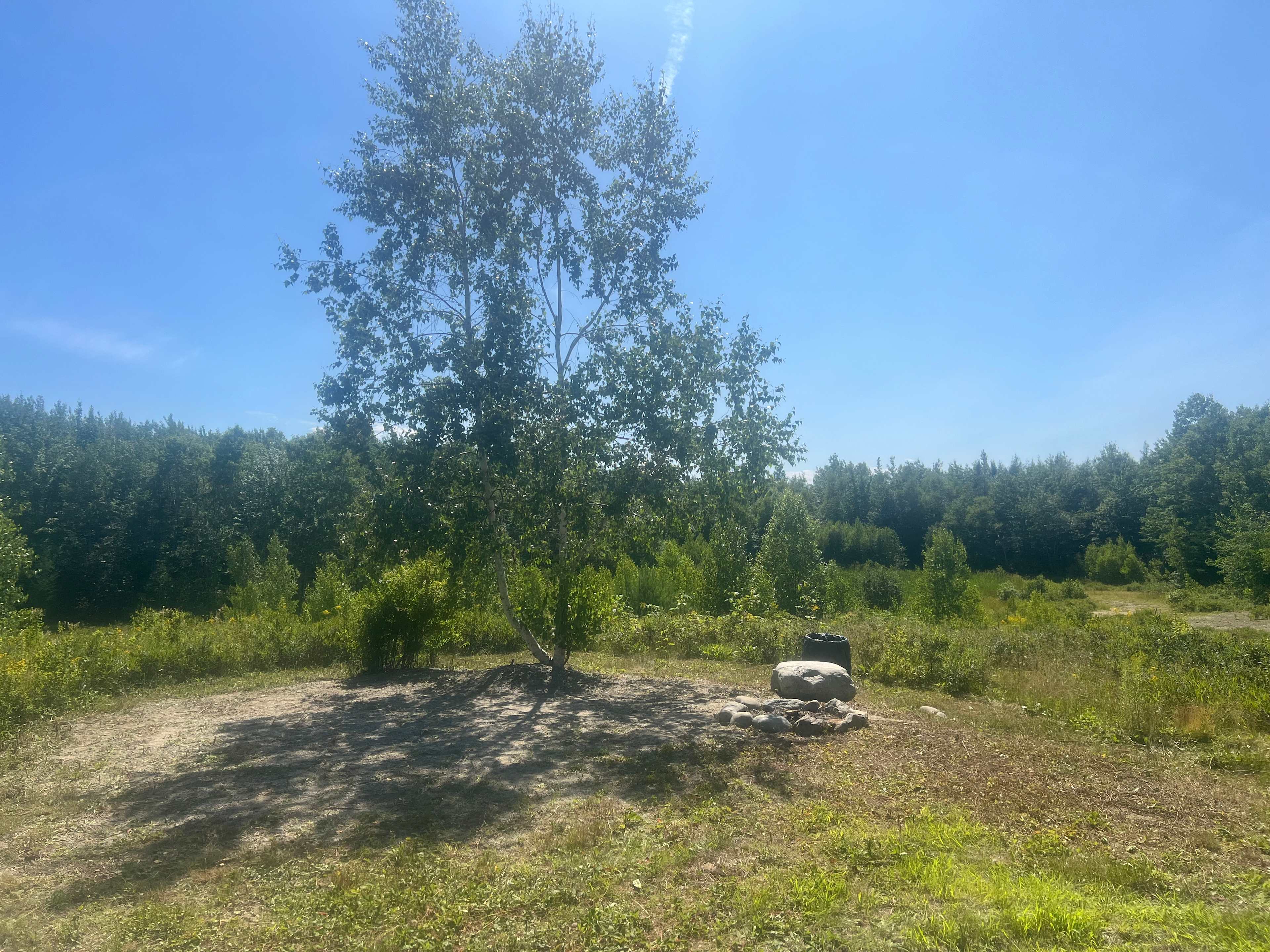 Picture of the site