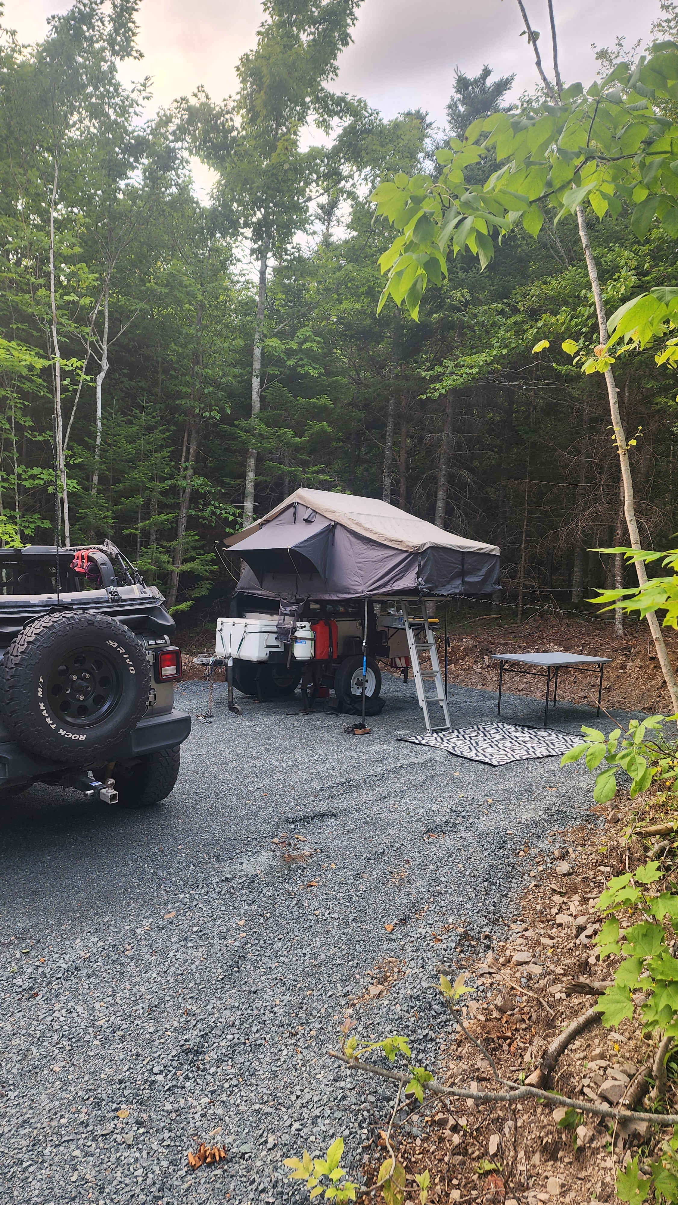 Ripped Hippies Camping Experience