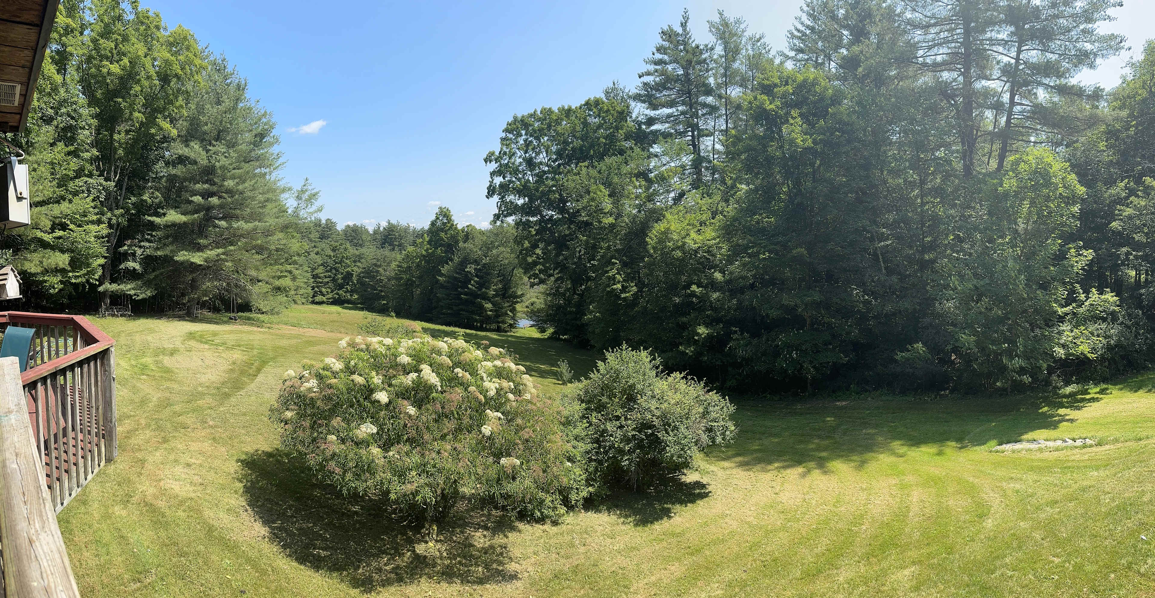 Whispering Pines