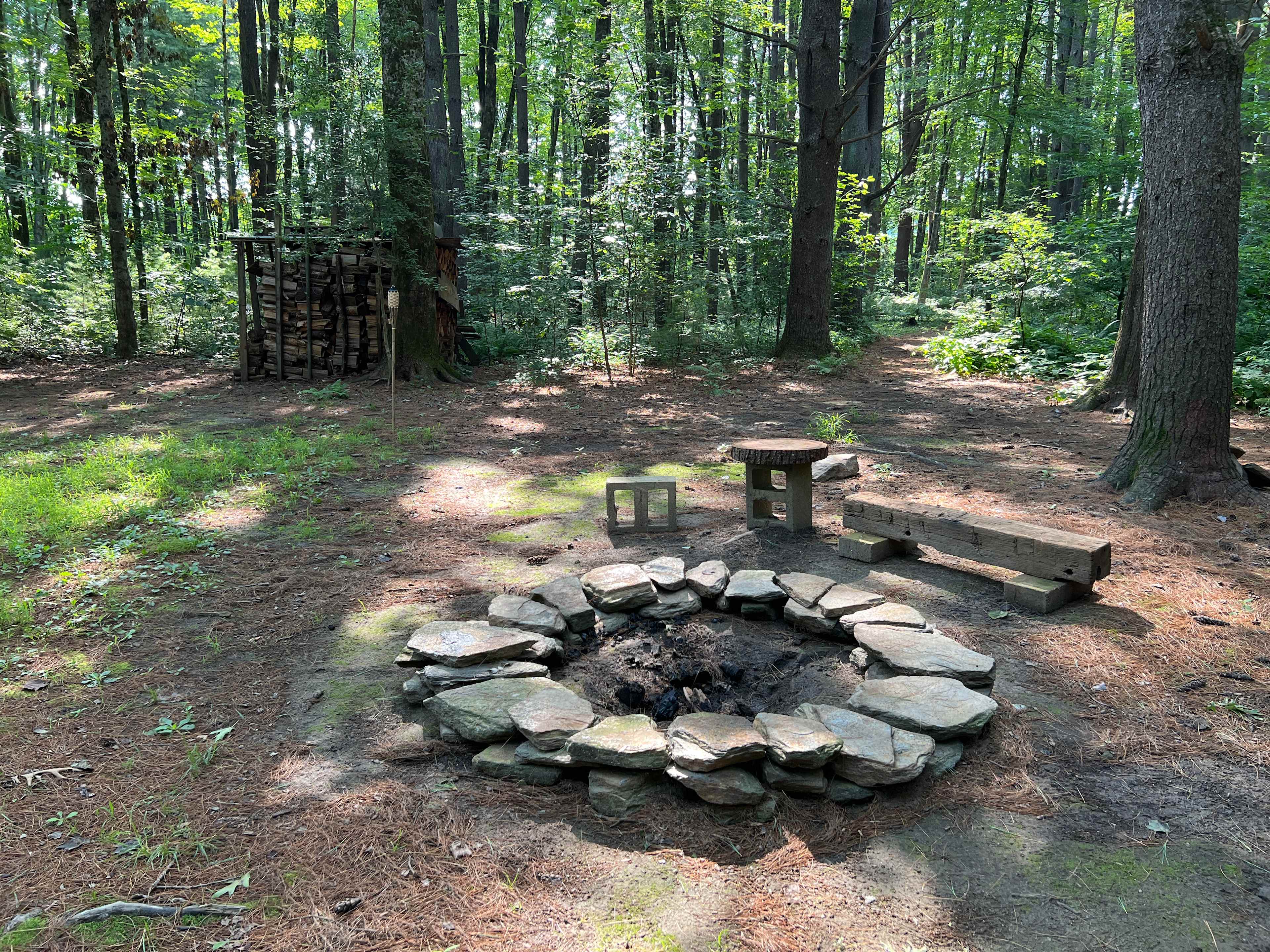 Picture of the site