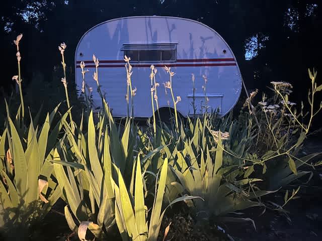 High Balsam Farm