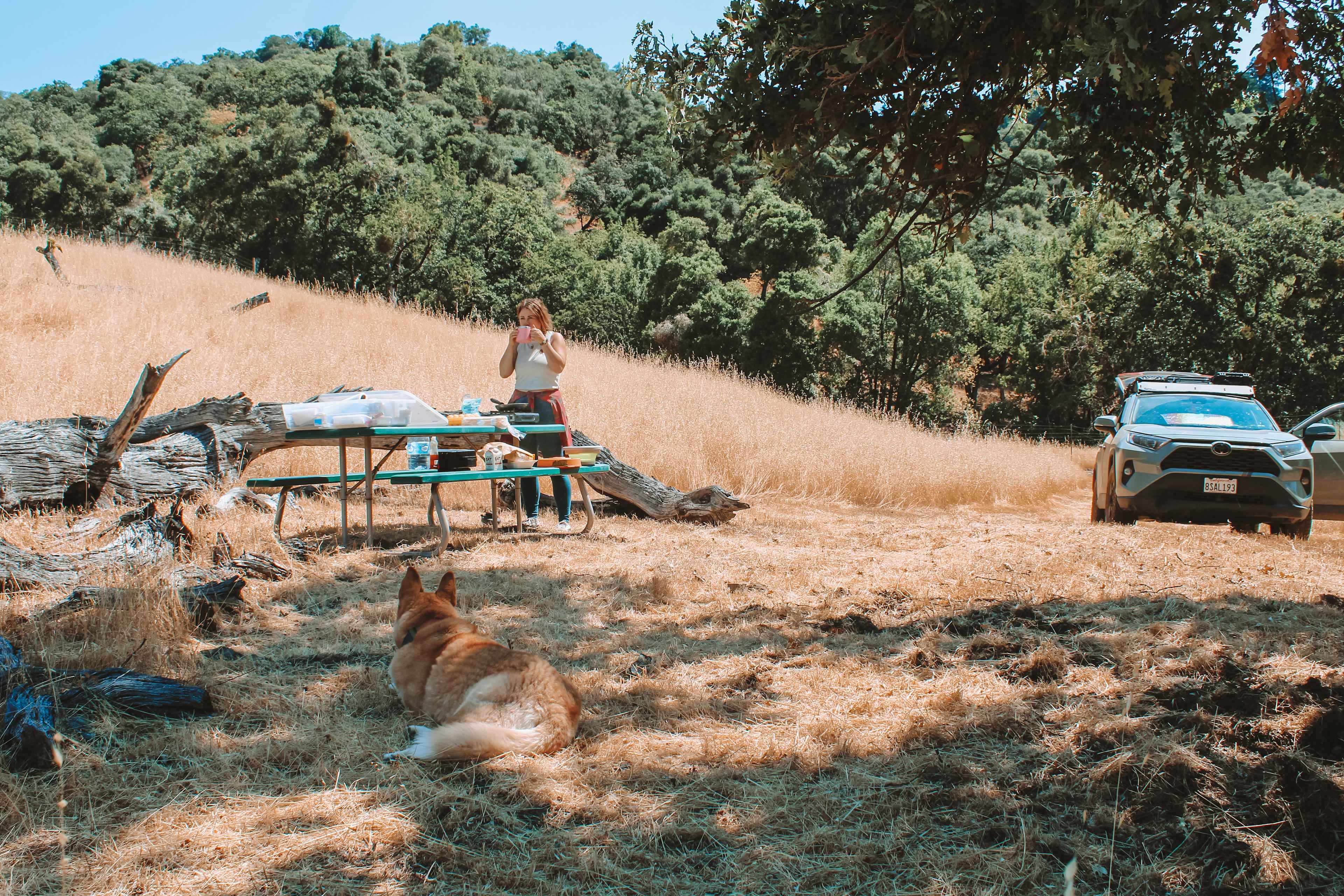 This spot was perfect to come down and have breakfast at