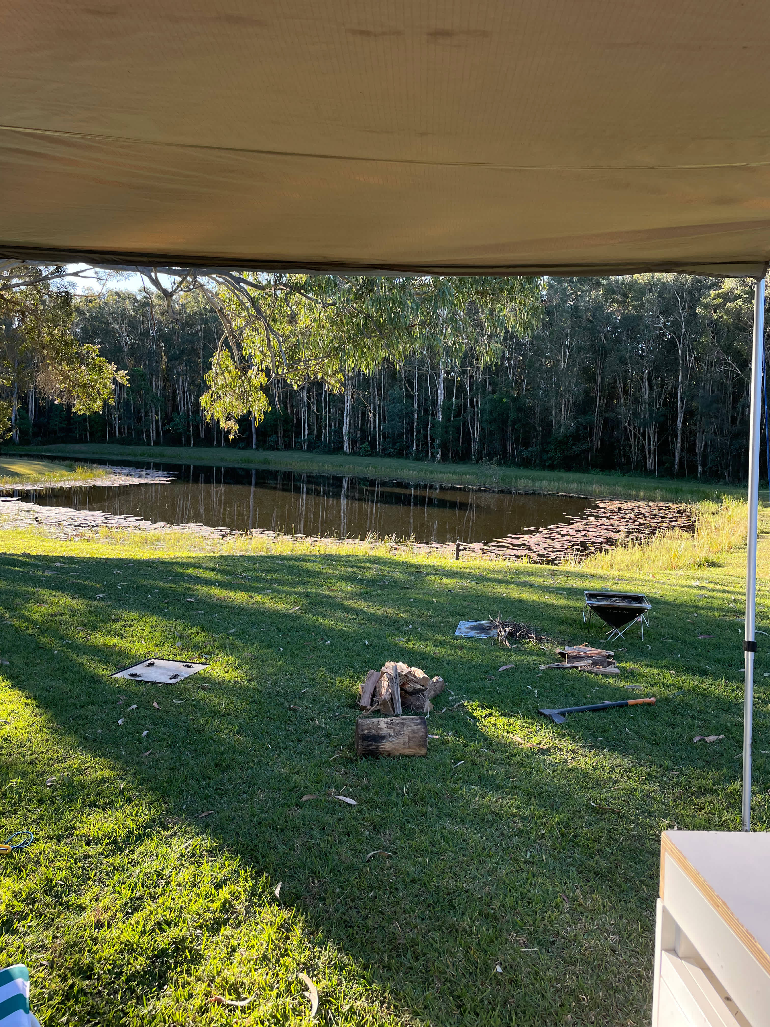 Picture of the site