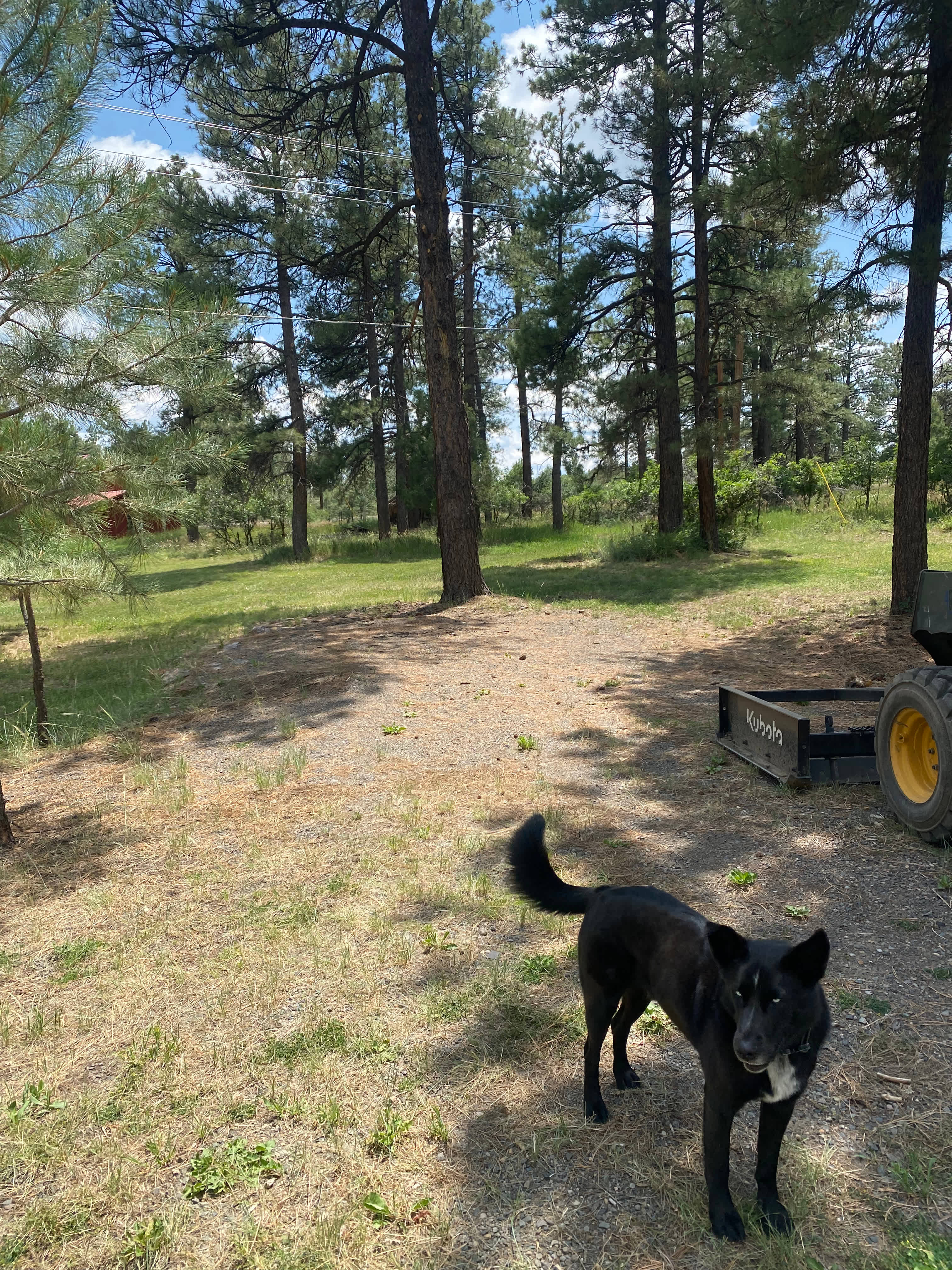 Basecamp Pagosa