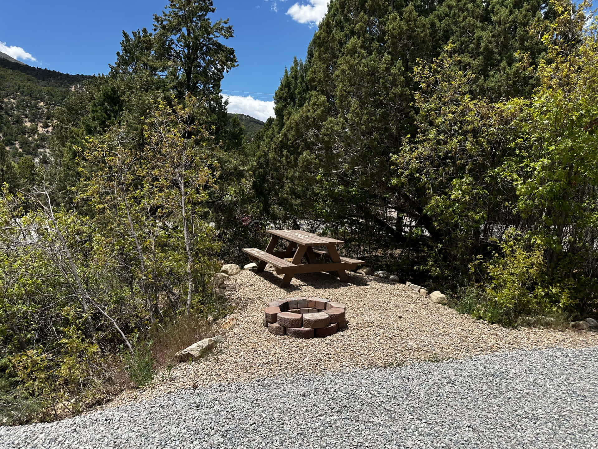 Picture of the site