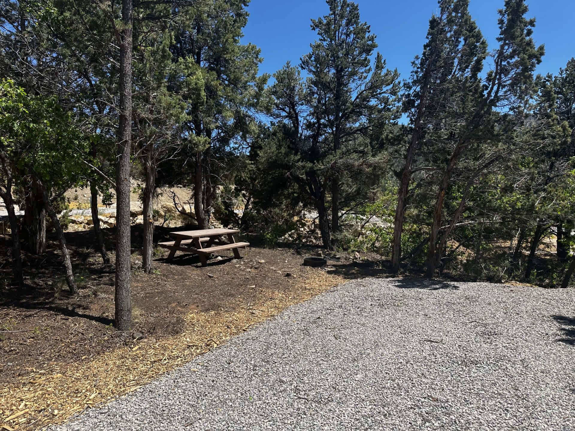 Picture of the site