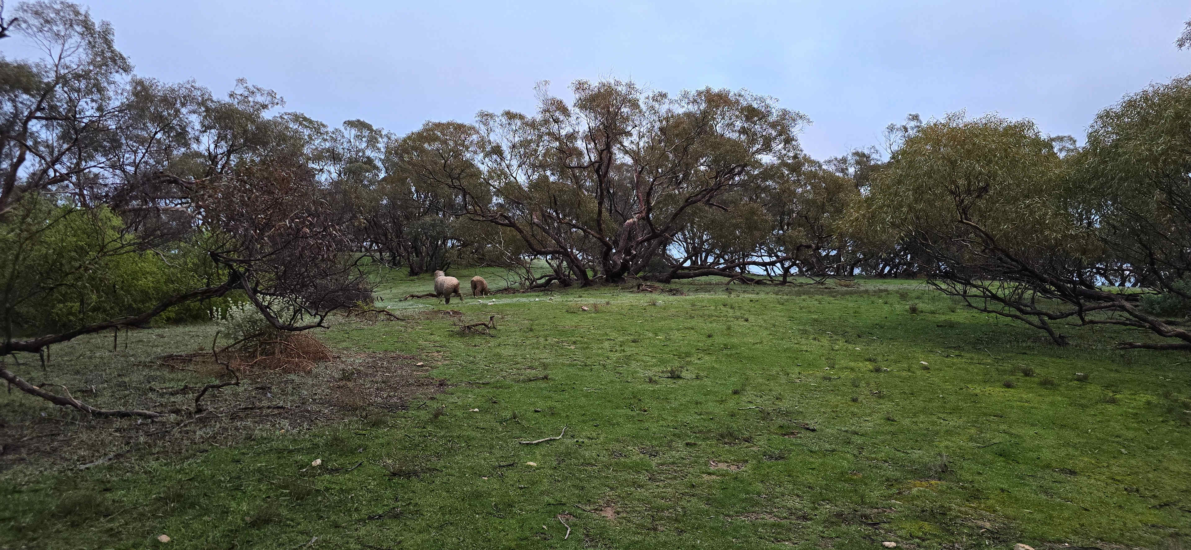 Picture of the site
