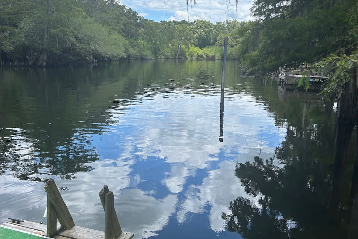 Santa Fe River's Edge