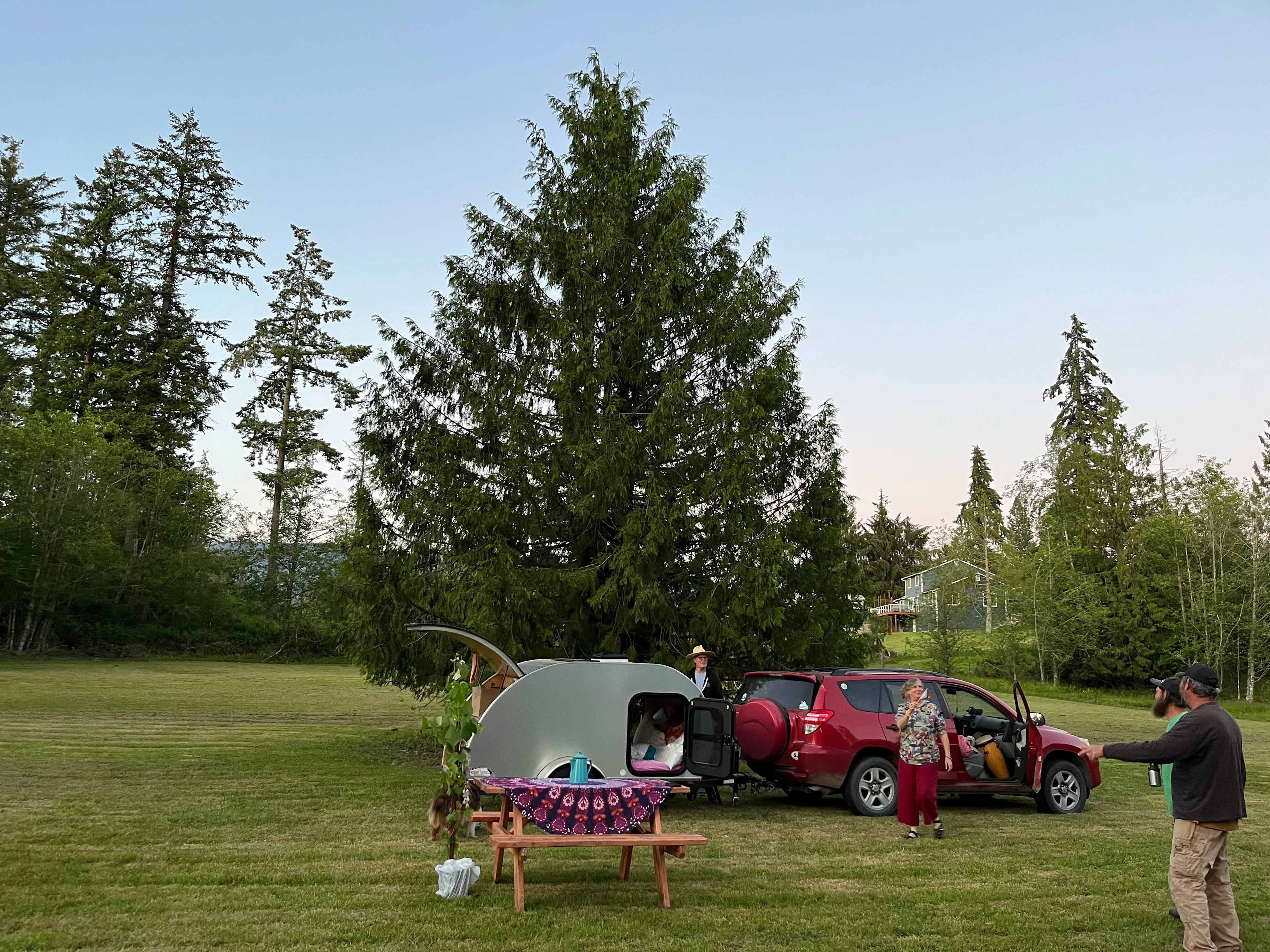 Camp Wildlife