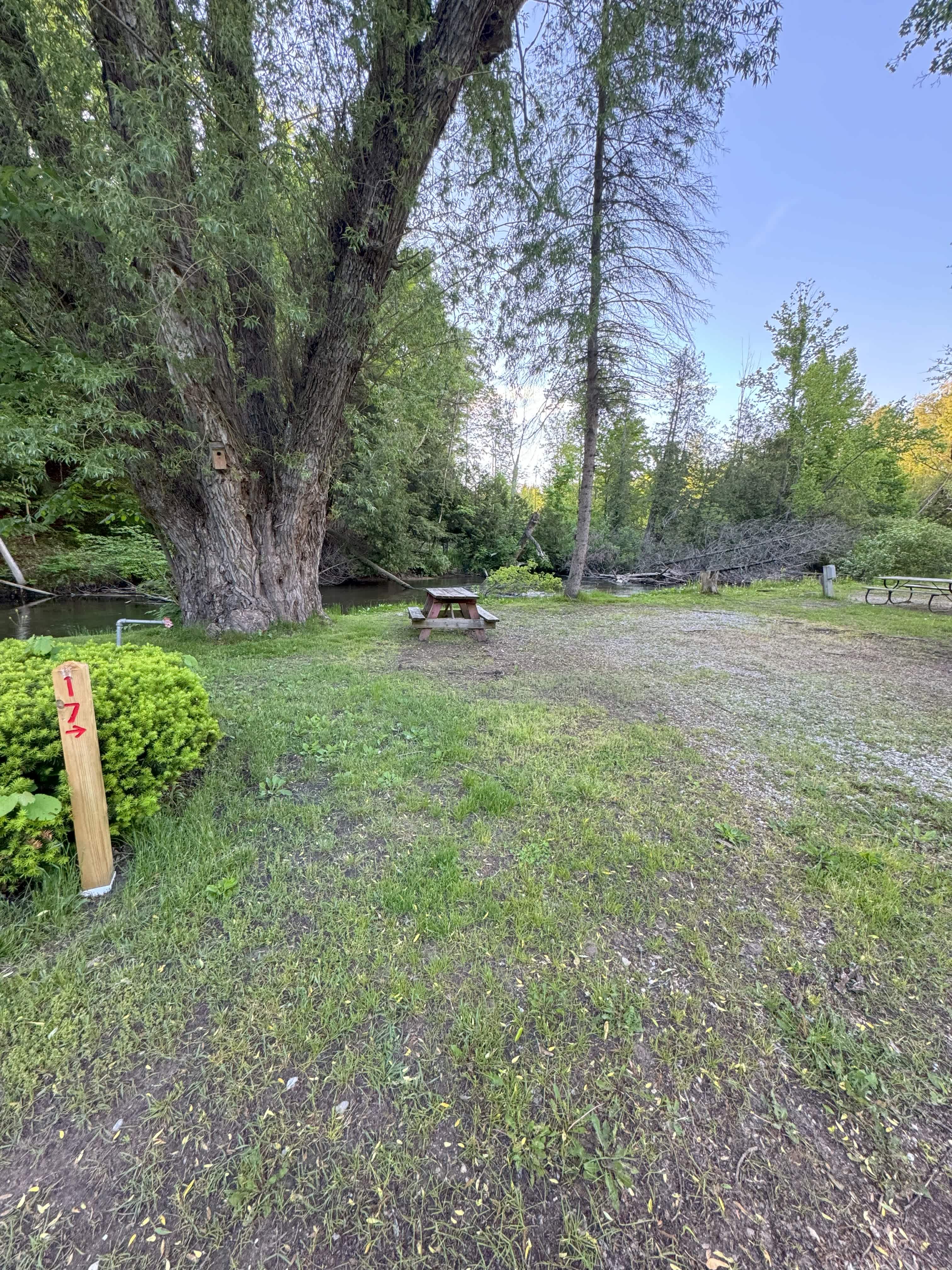 Picture of the site