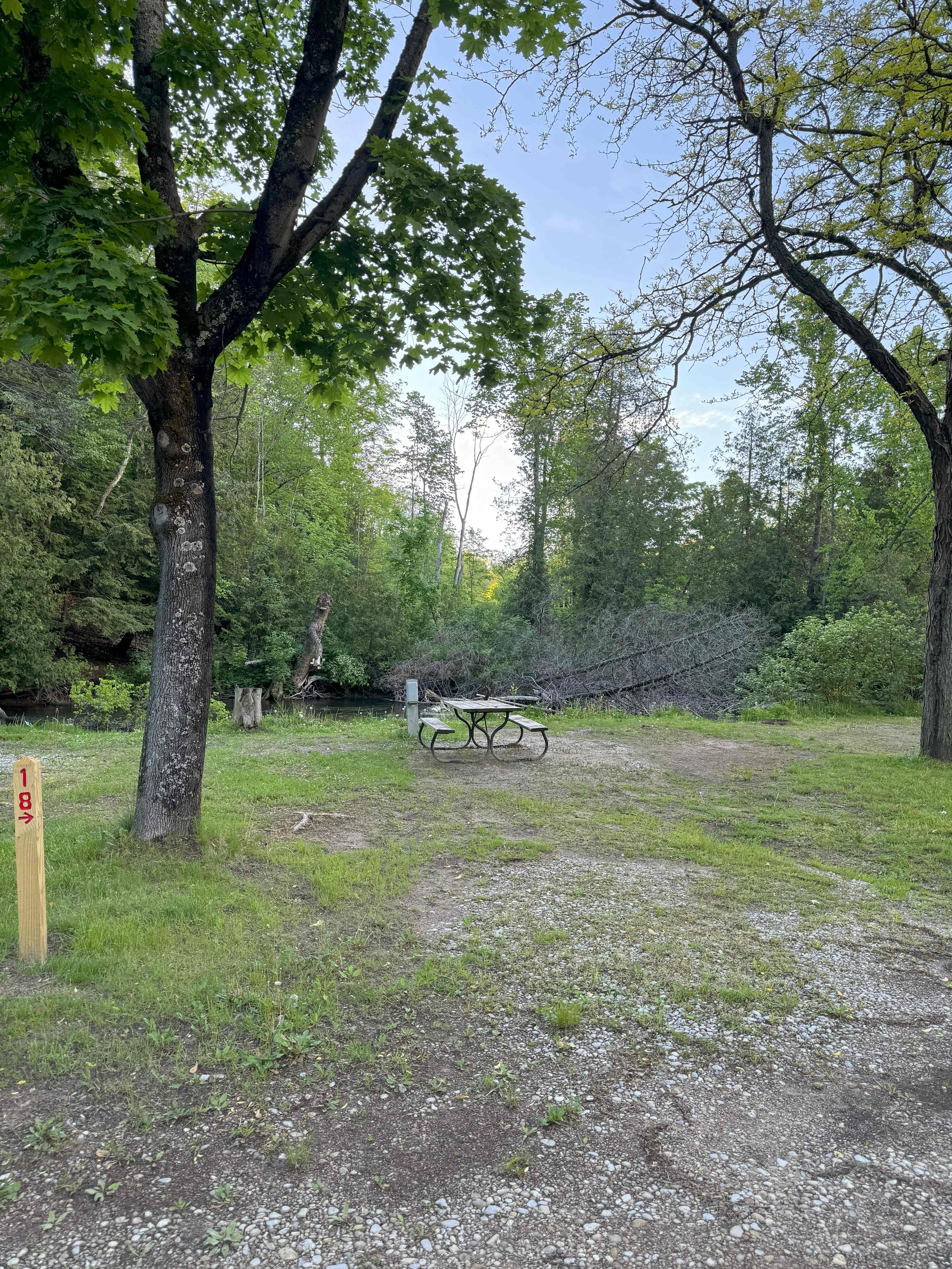 Picture of the site