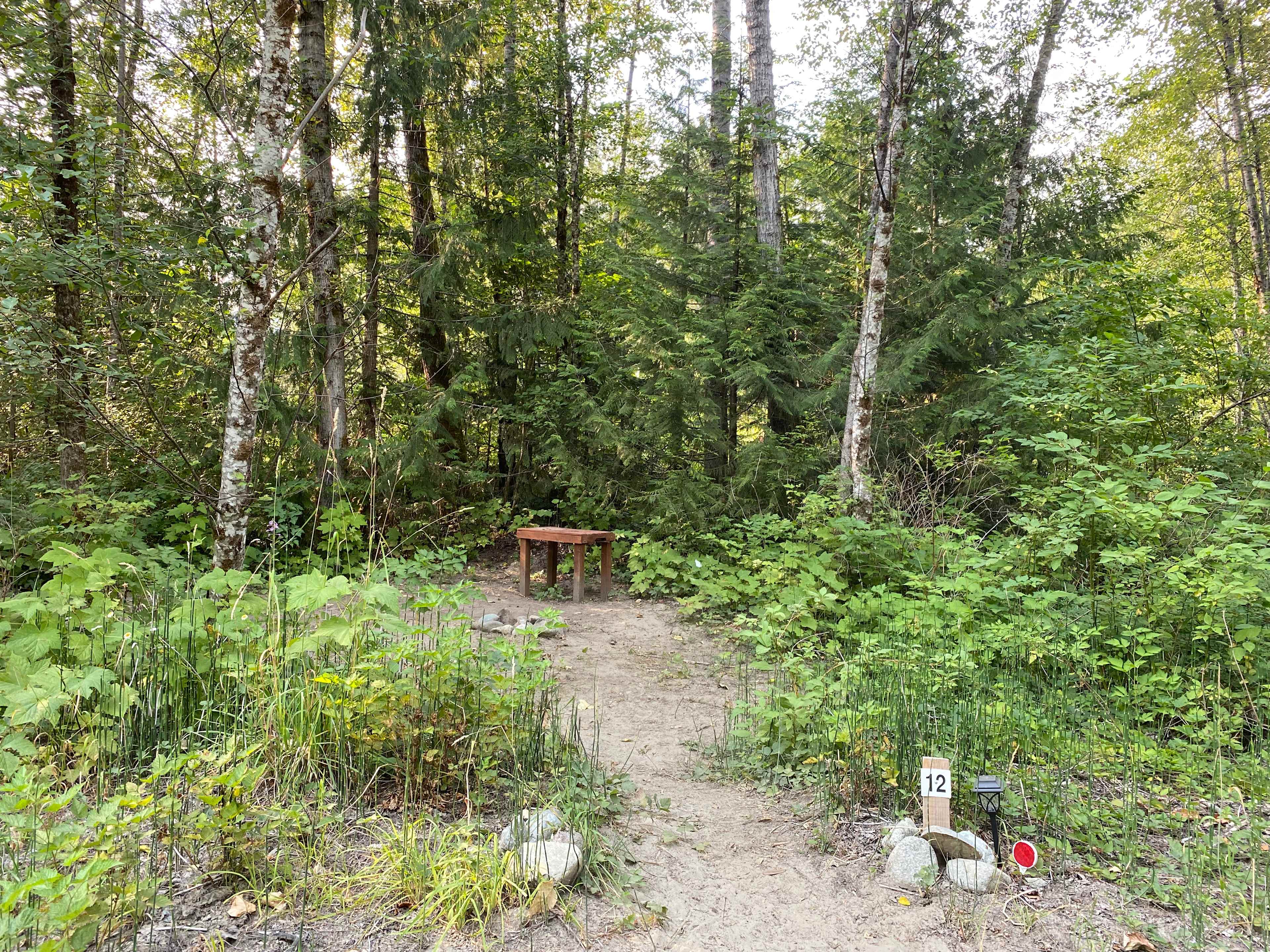 Picture of the site