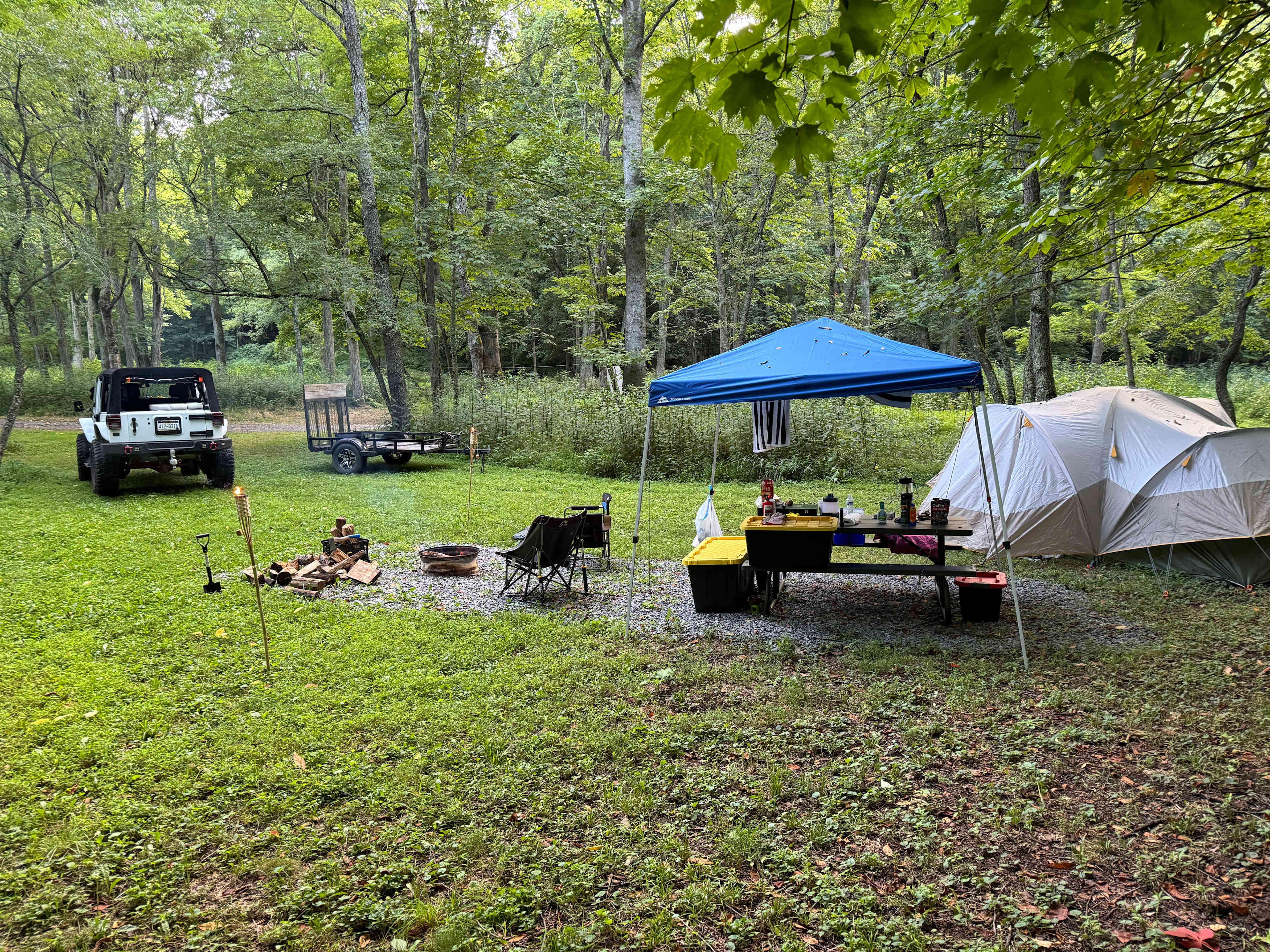 Picture of the site