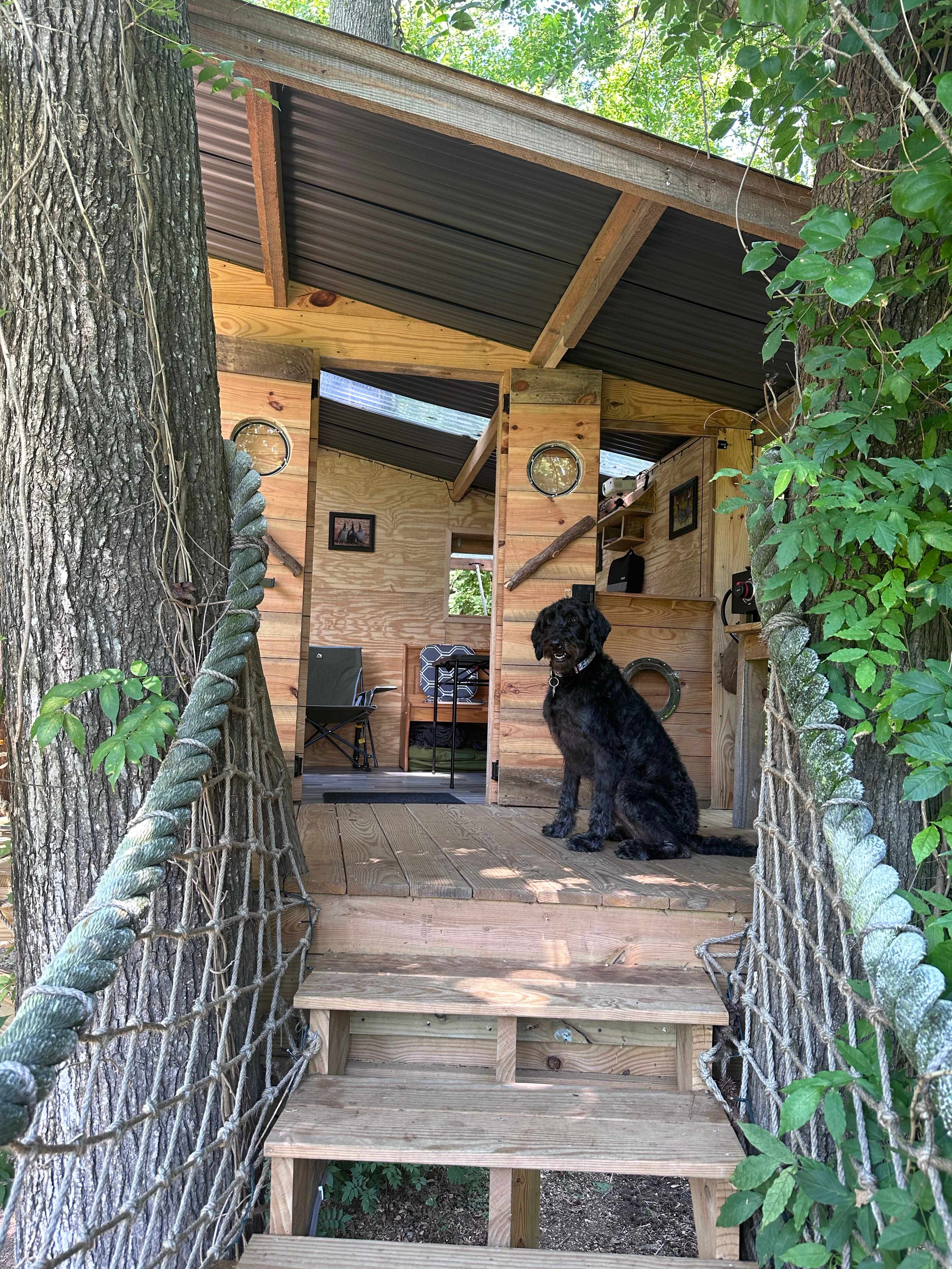 The Guinea Farm, Field, and Forest