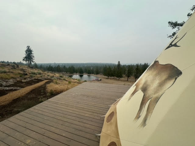 Picture of the site