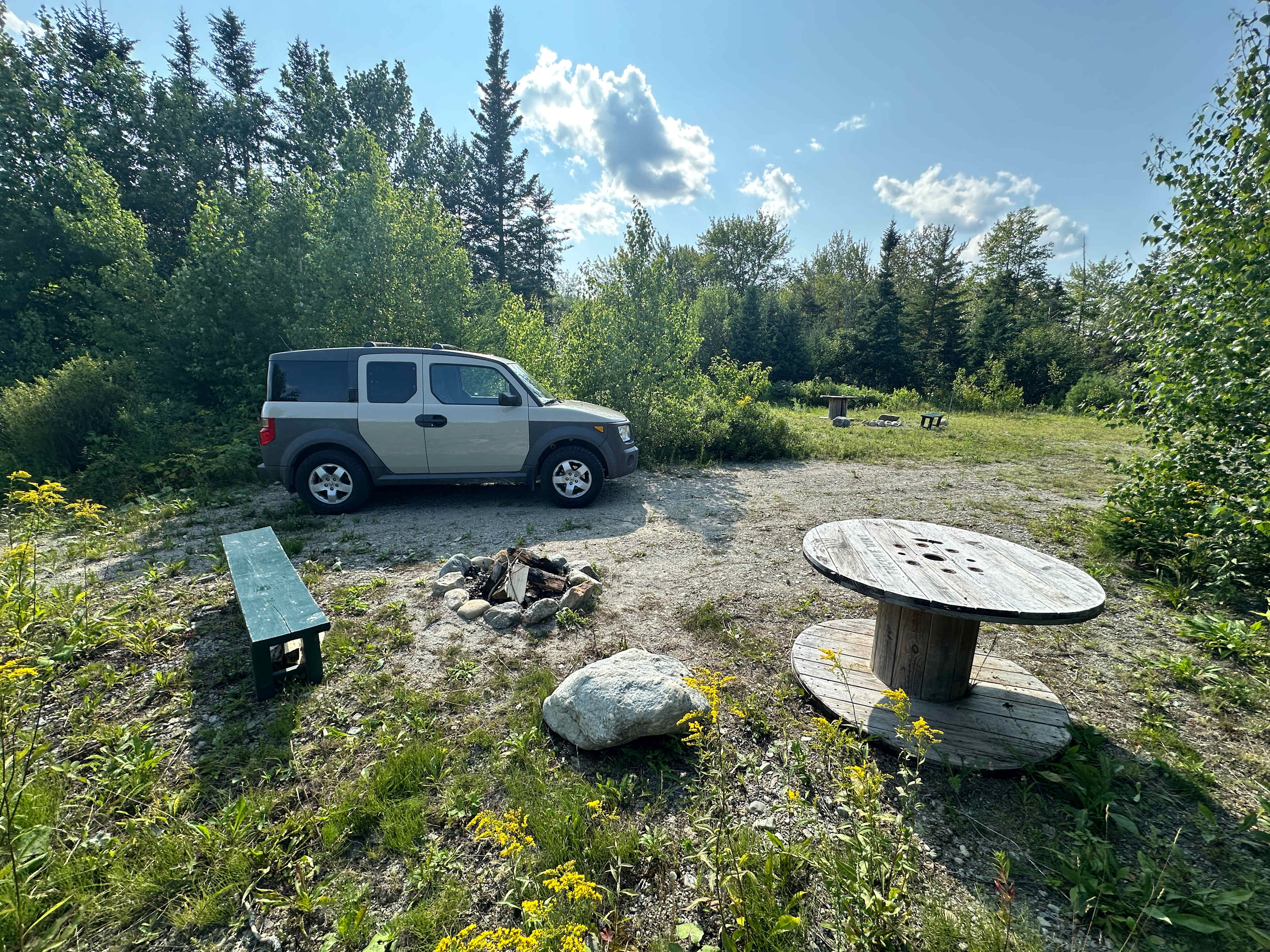 Picture of the site