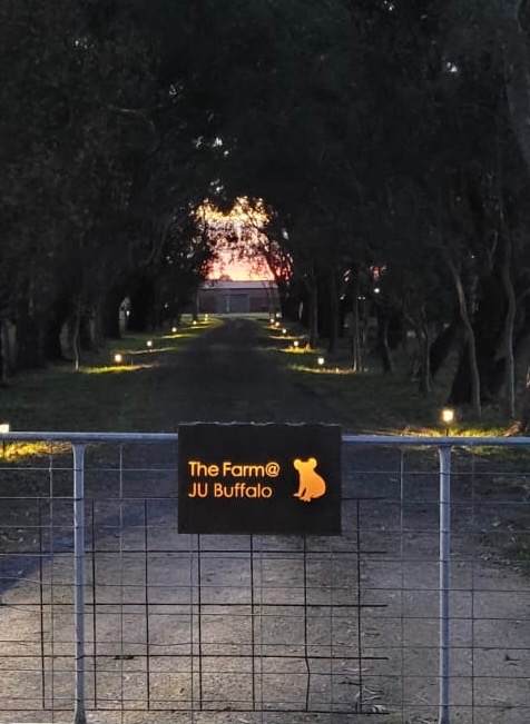 The Farm @ JU Buffalo (S Gippsland)
