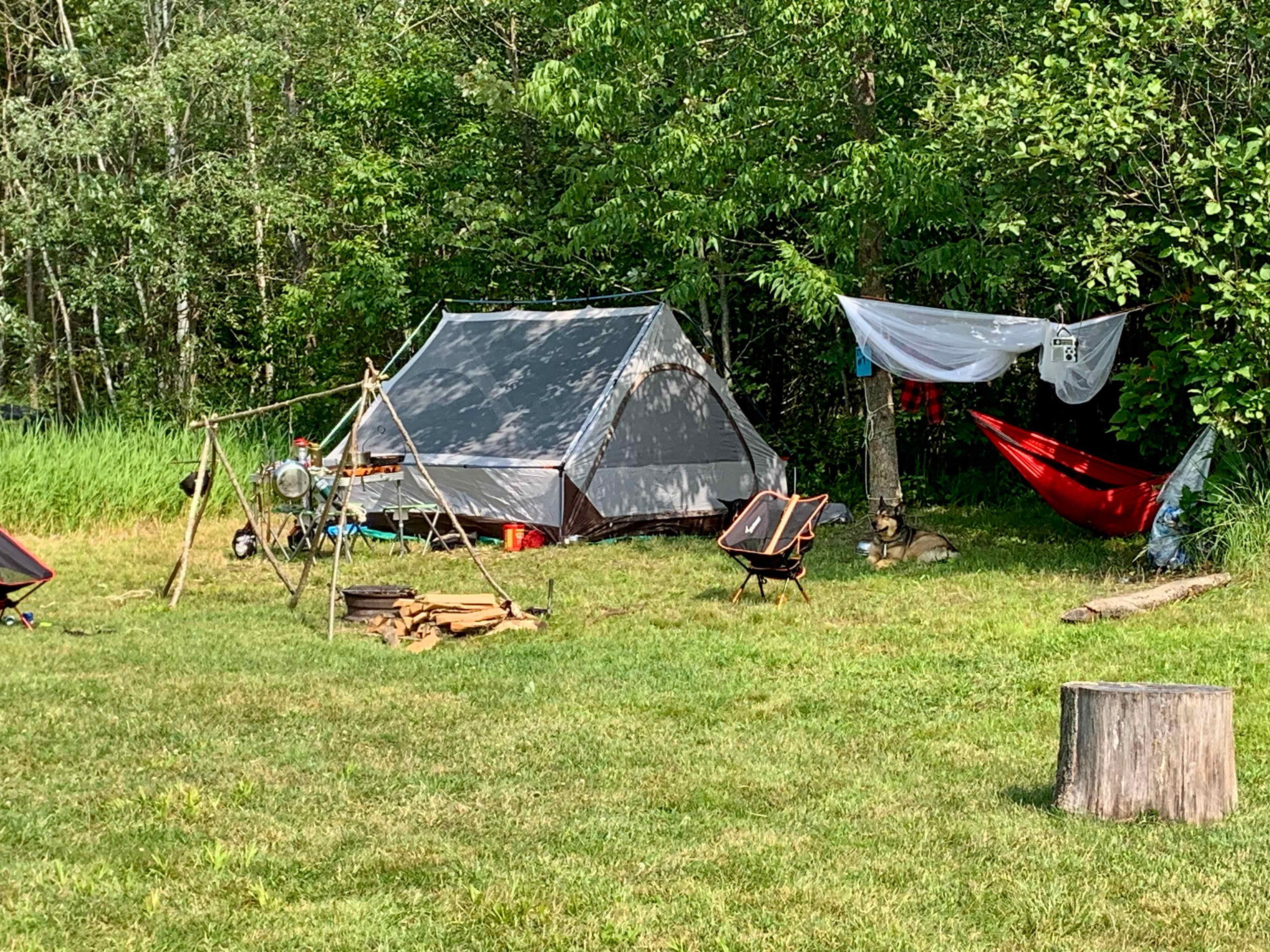 Picture of the site