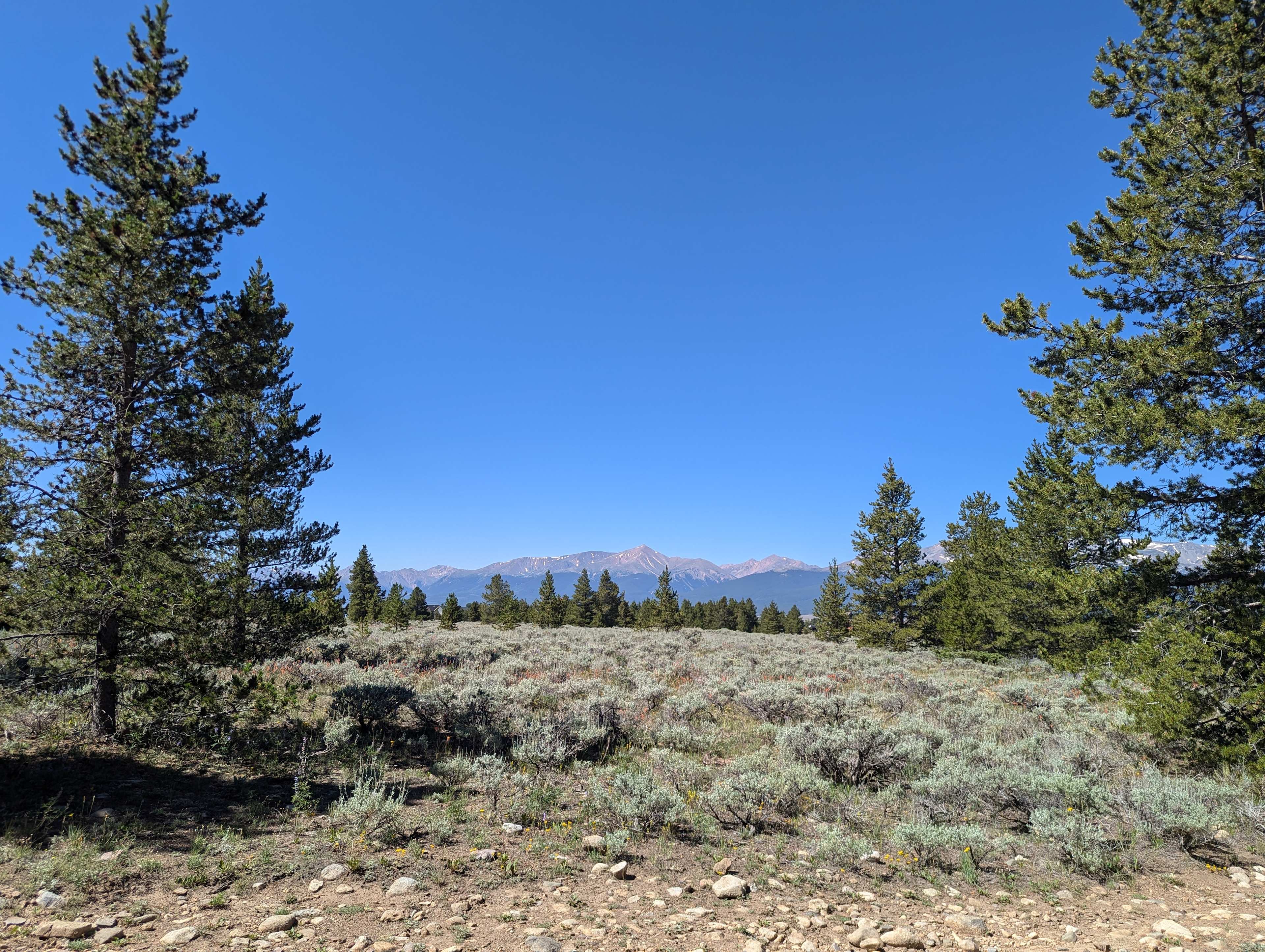 Secluded property close to town