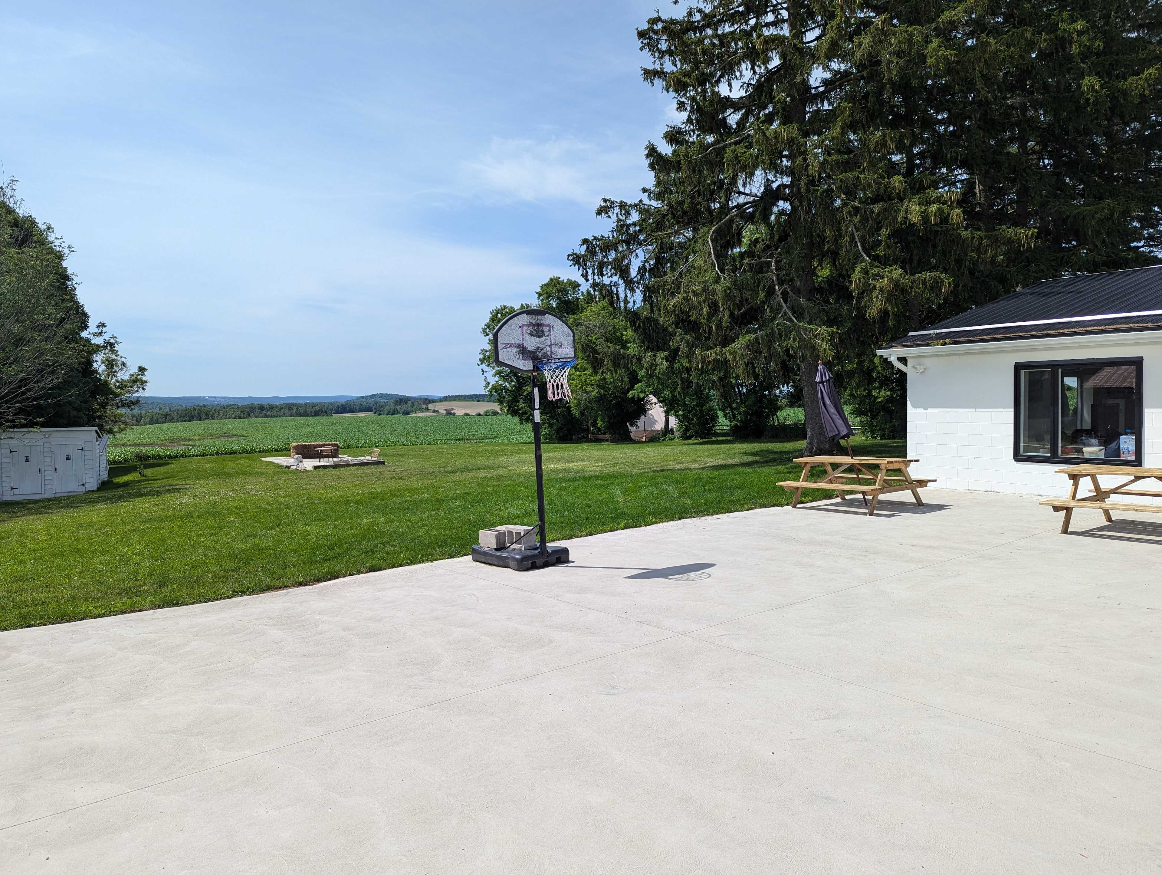 Picture of the site