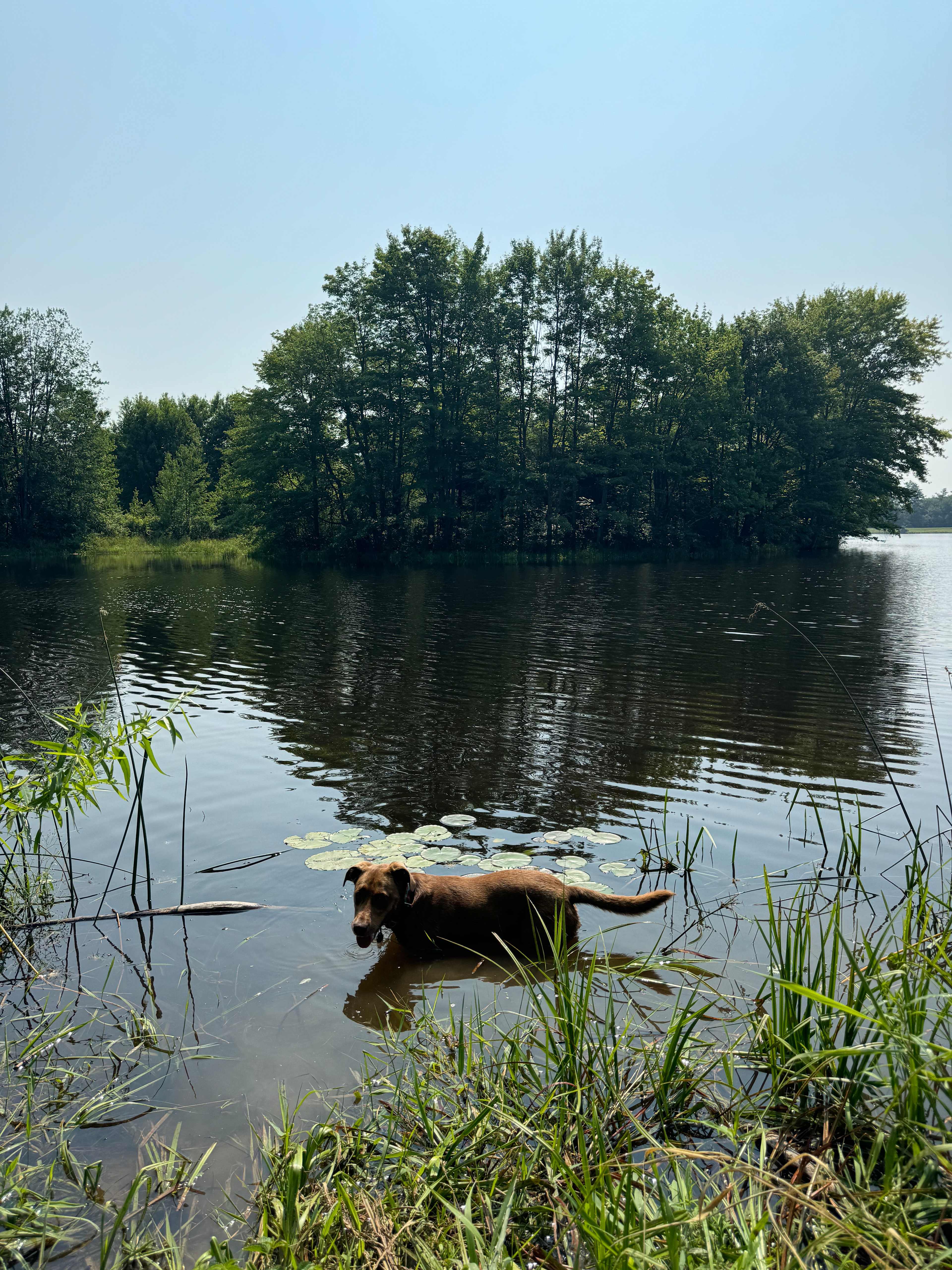 Waters Edge @ Eweturnfarm