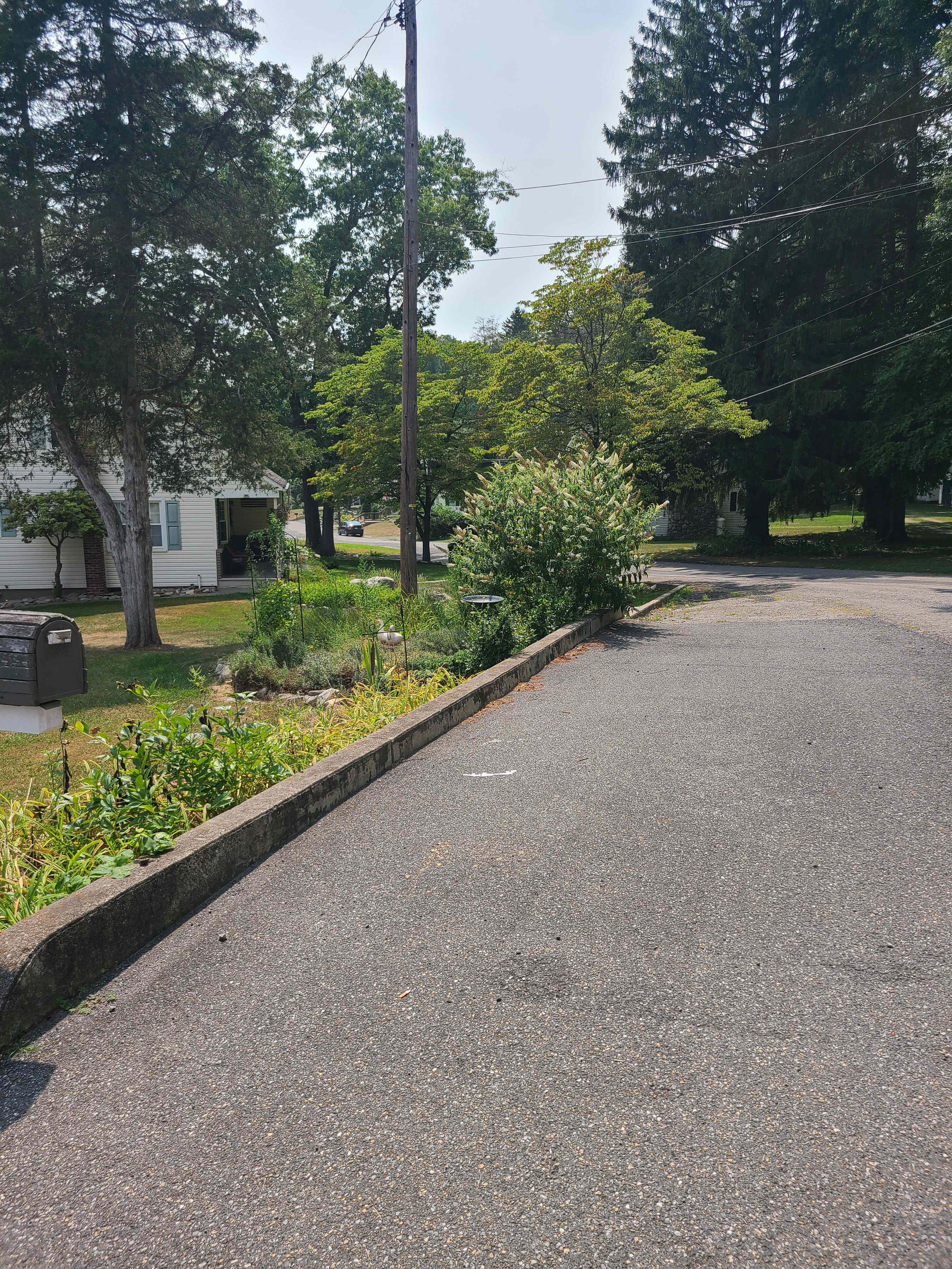 Bangor Bungalow