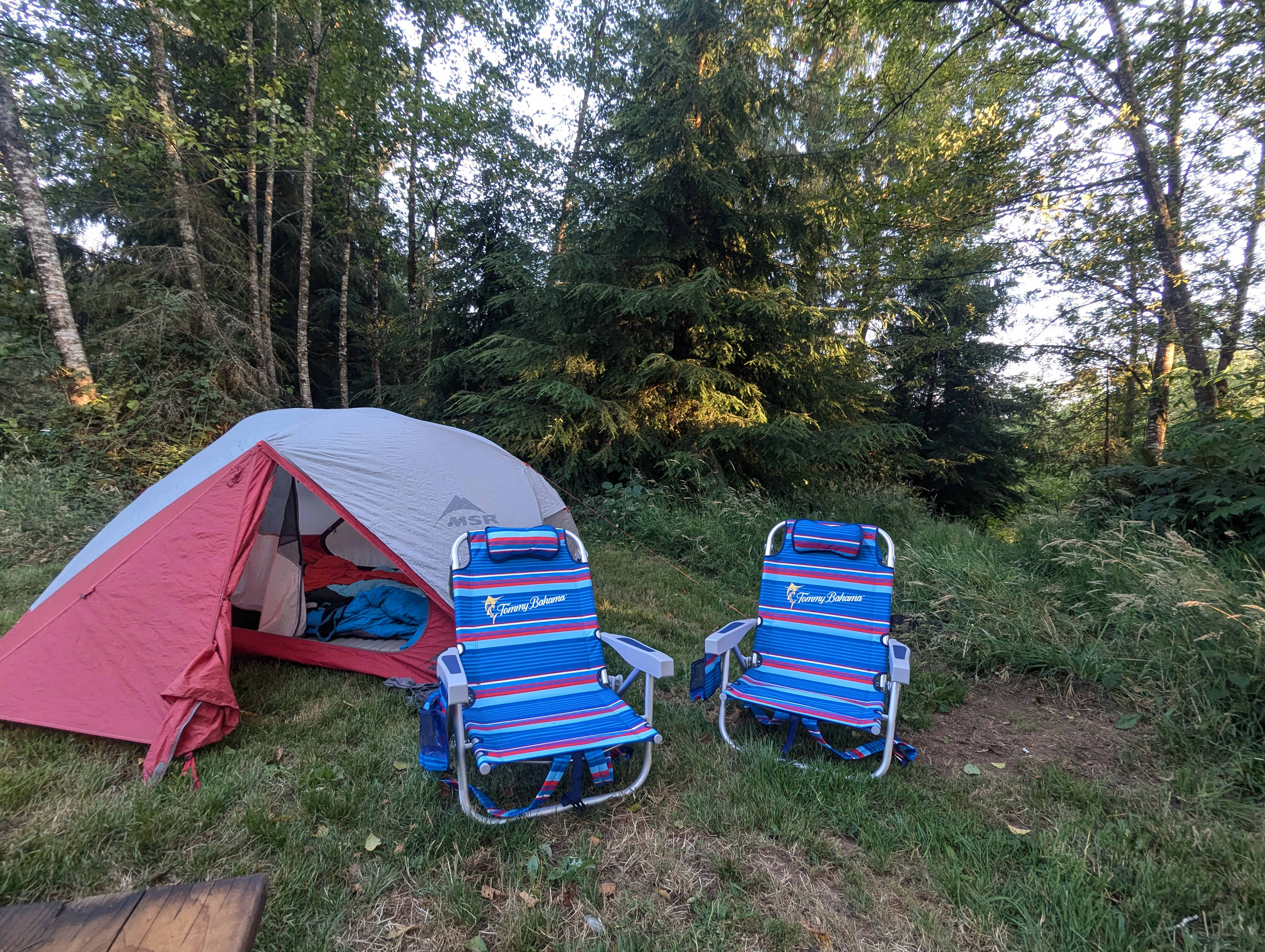Picture of the site