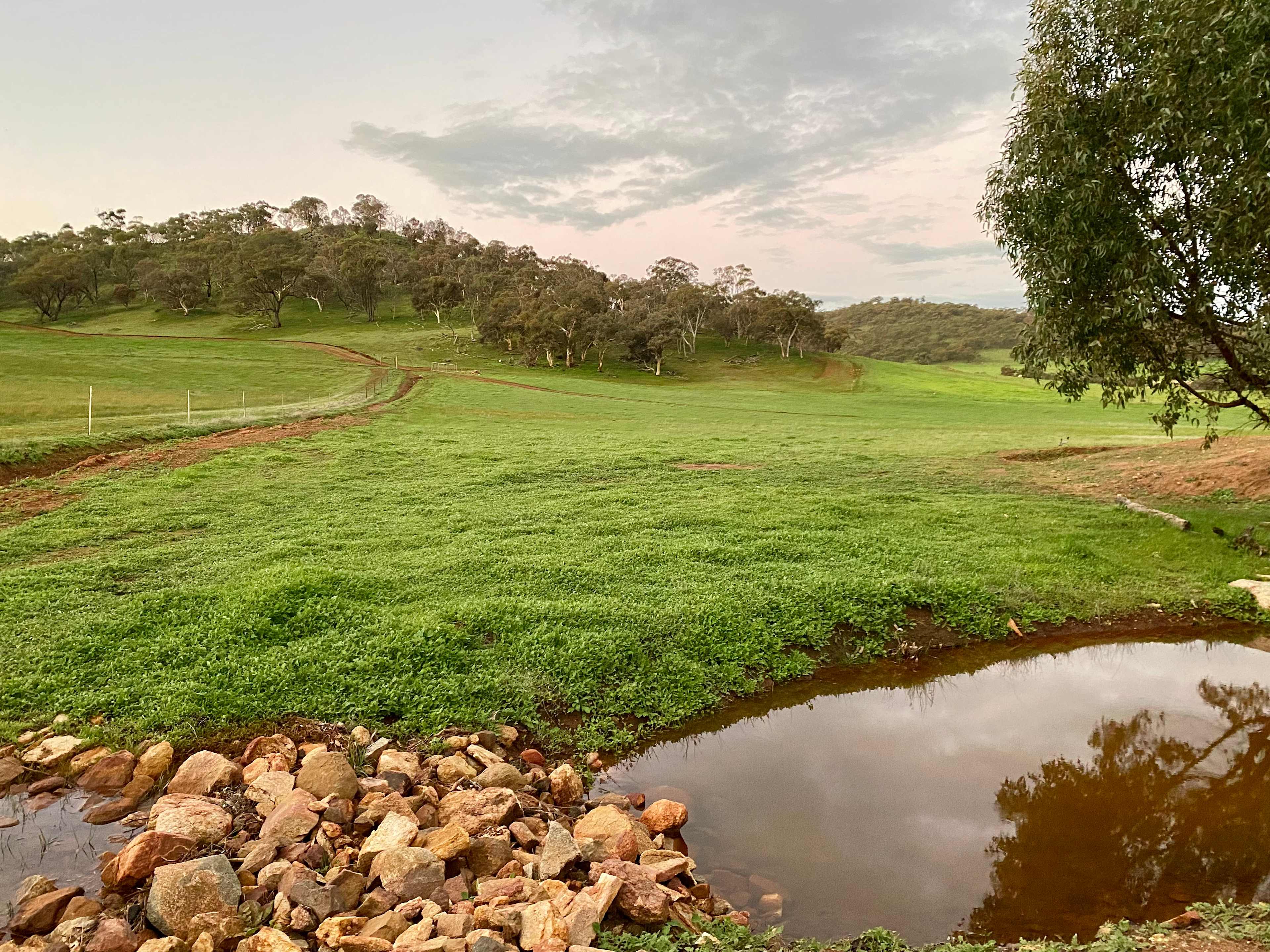 Picture of the site