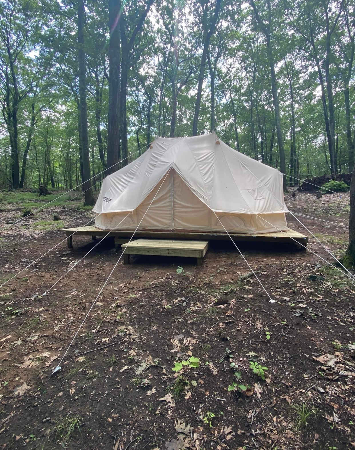 Picture of the site