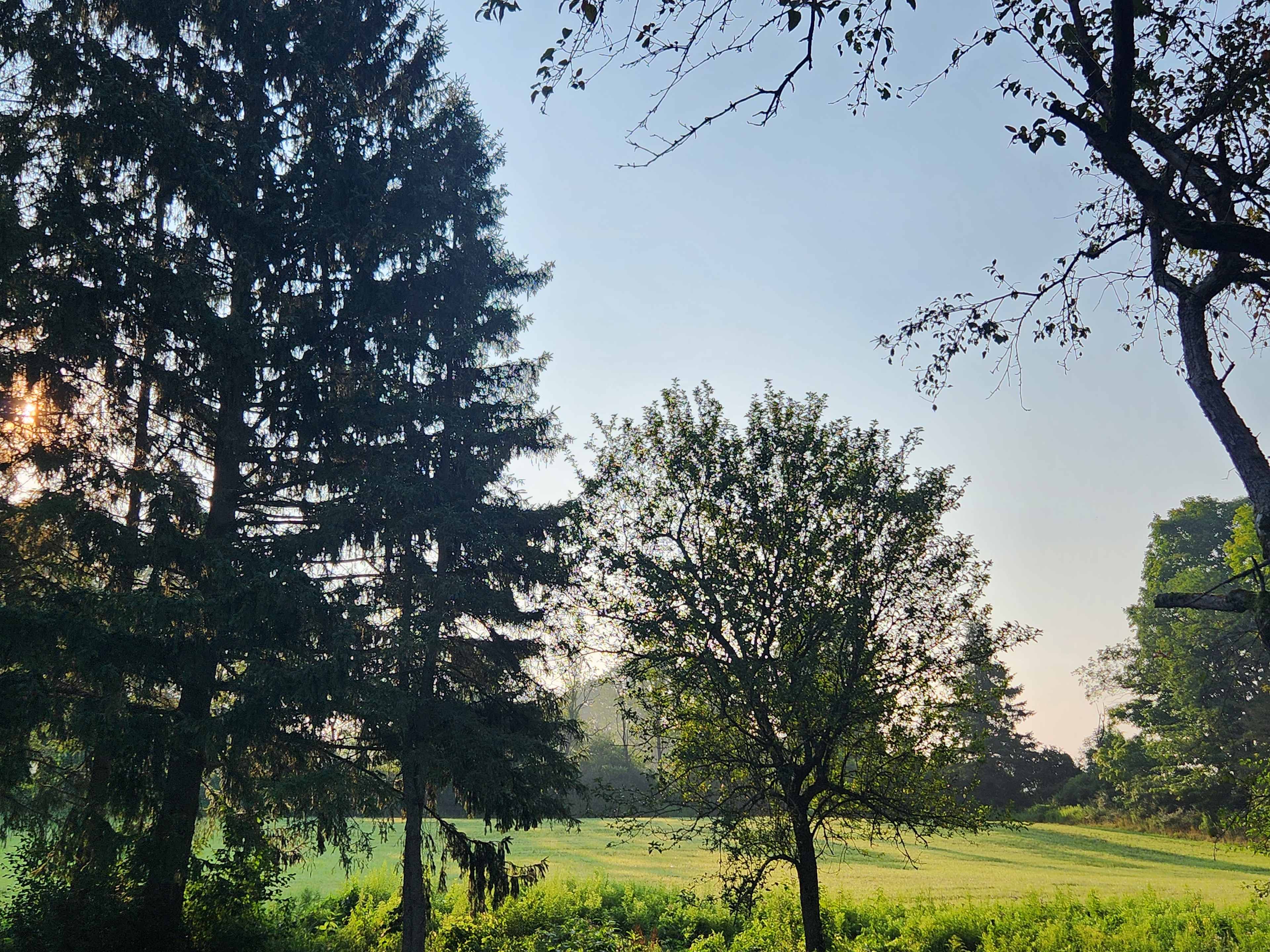 Pleasant Valley Farm