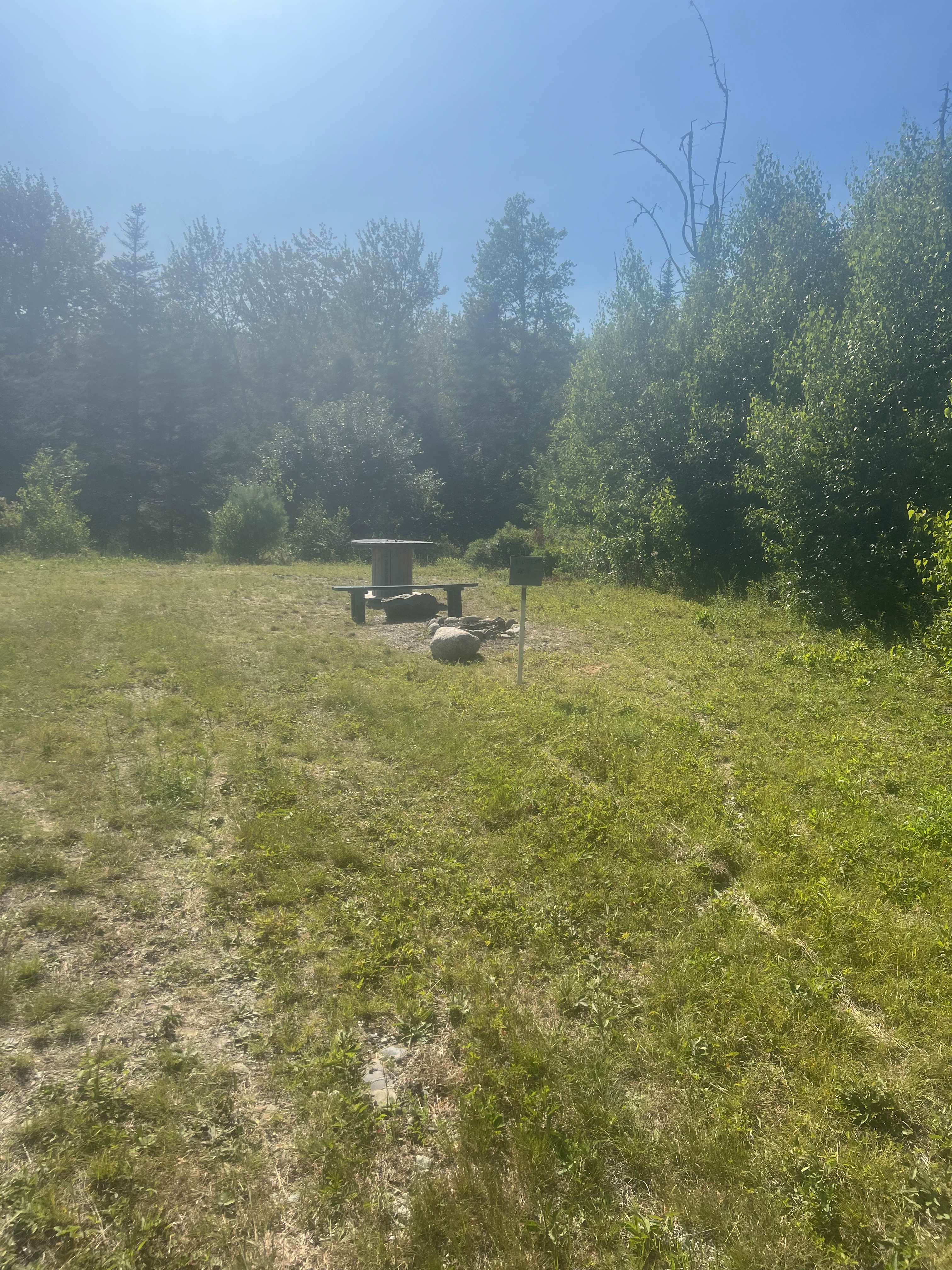 Picture of the site