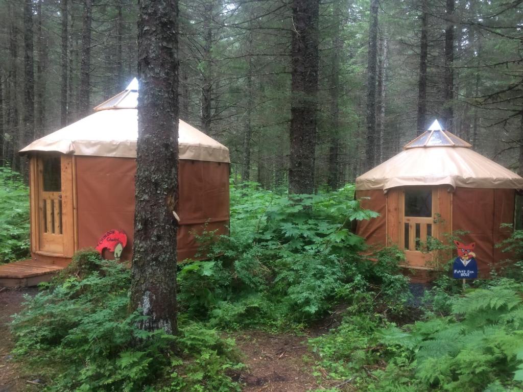 Nauti Otter Inn Yurt Village