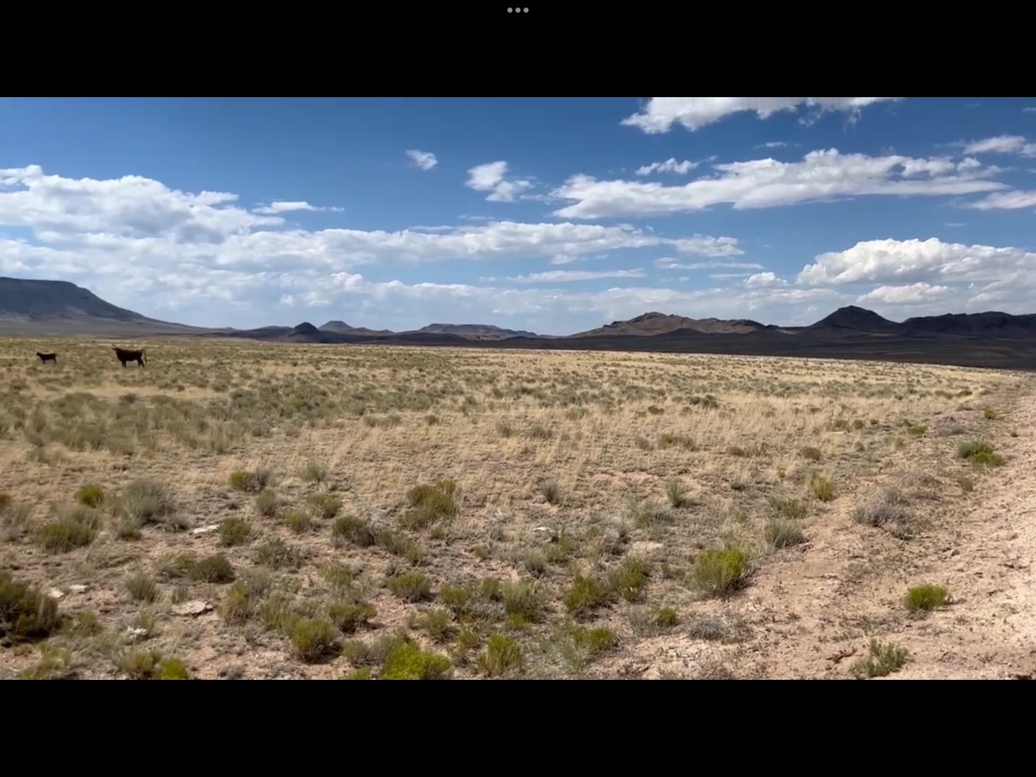 Wild Horse Mesa Star Gazing Ranch