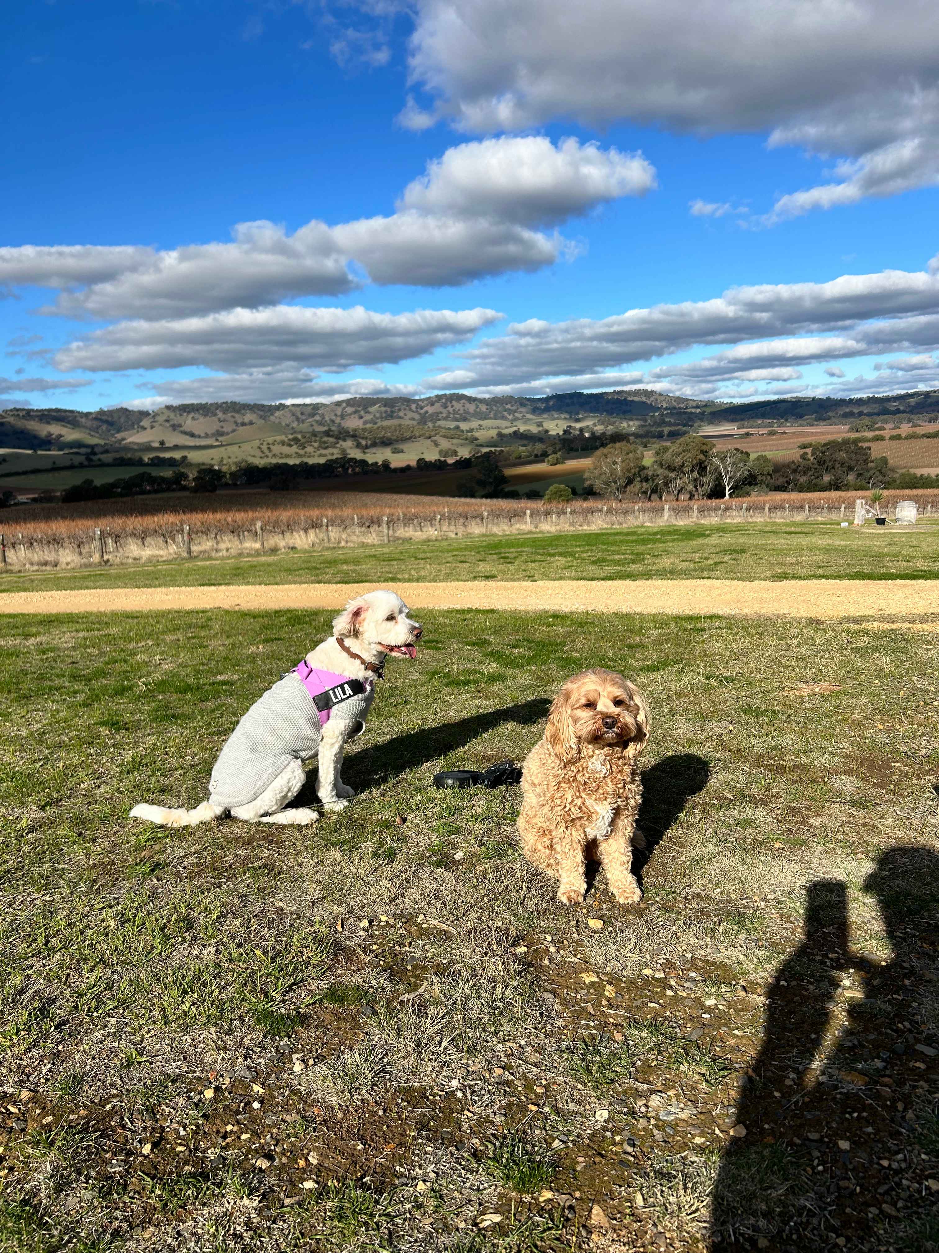 God’s Hill Wines & Ennia Cucina