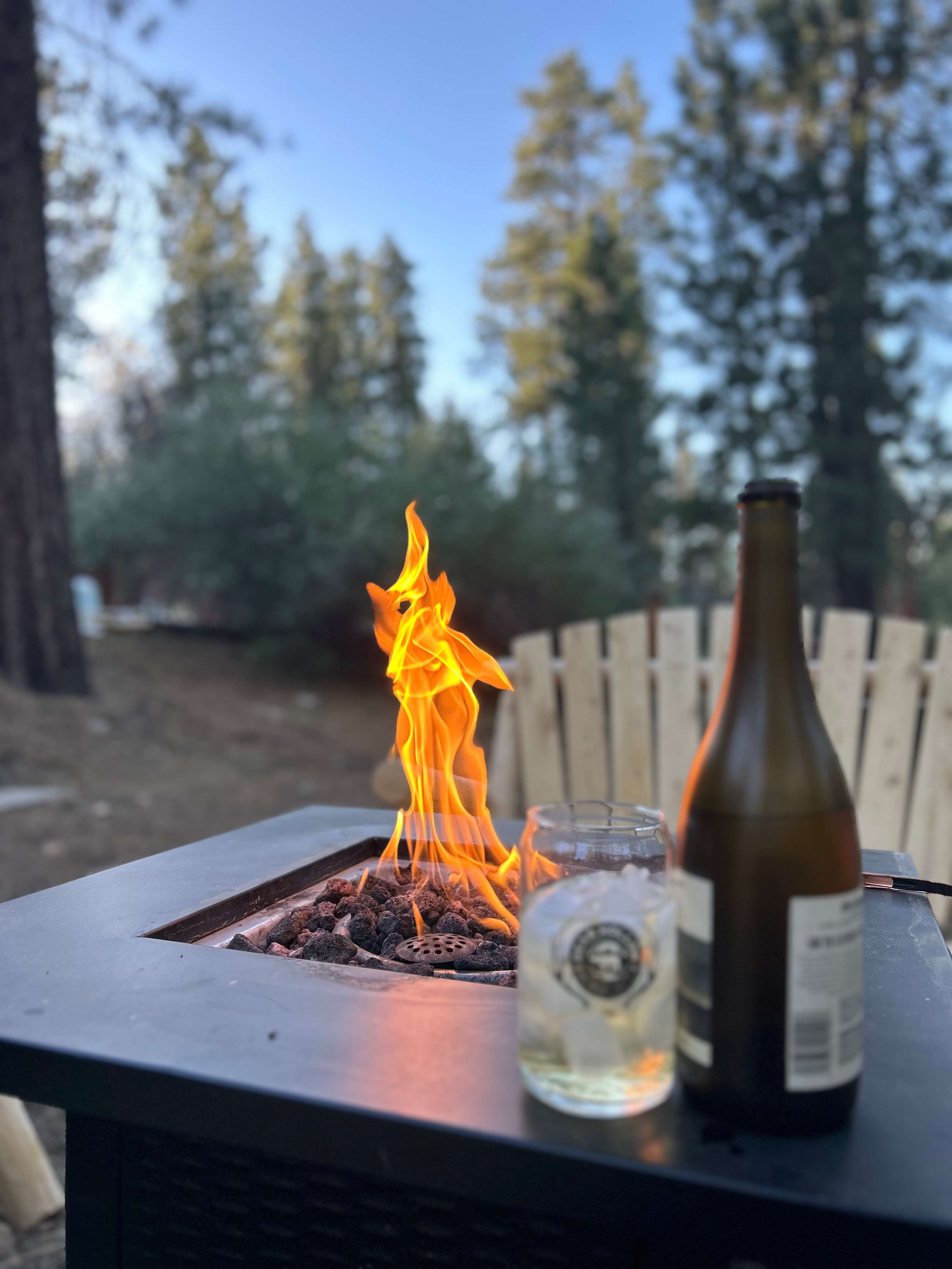 Bear Hollow Camp Site
